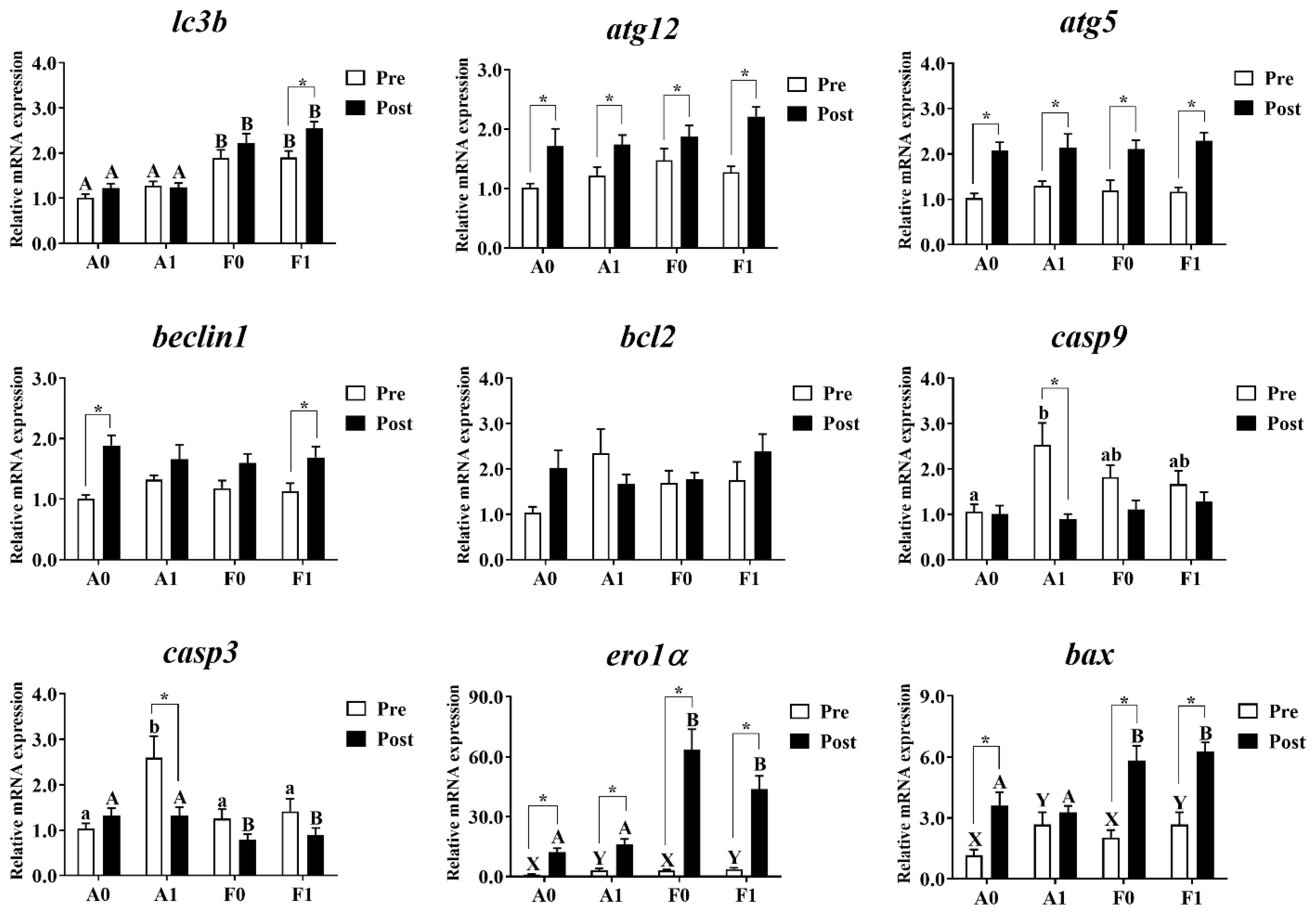 Antioxidants 11 01381 g008
