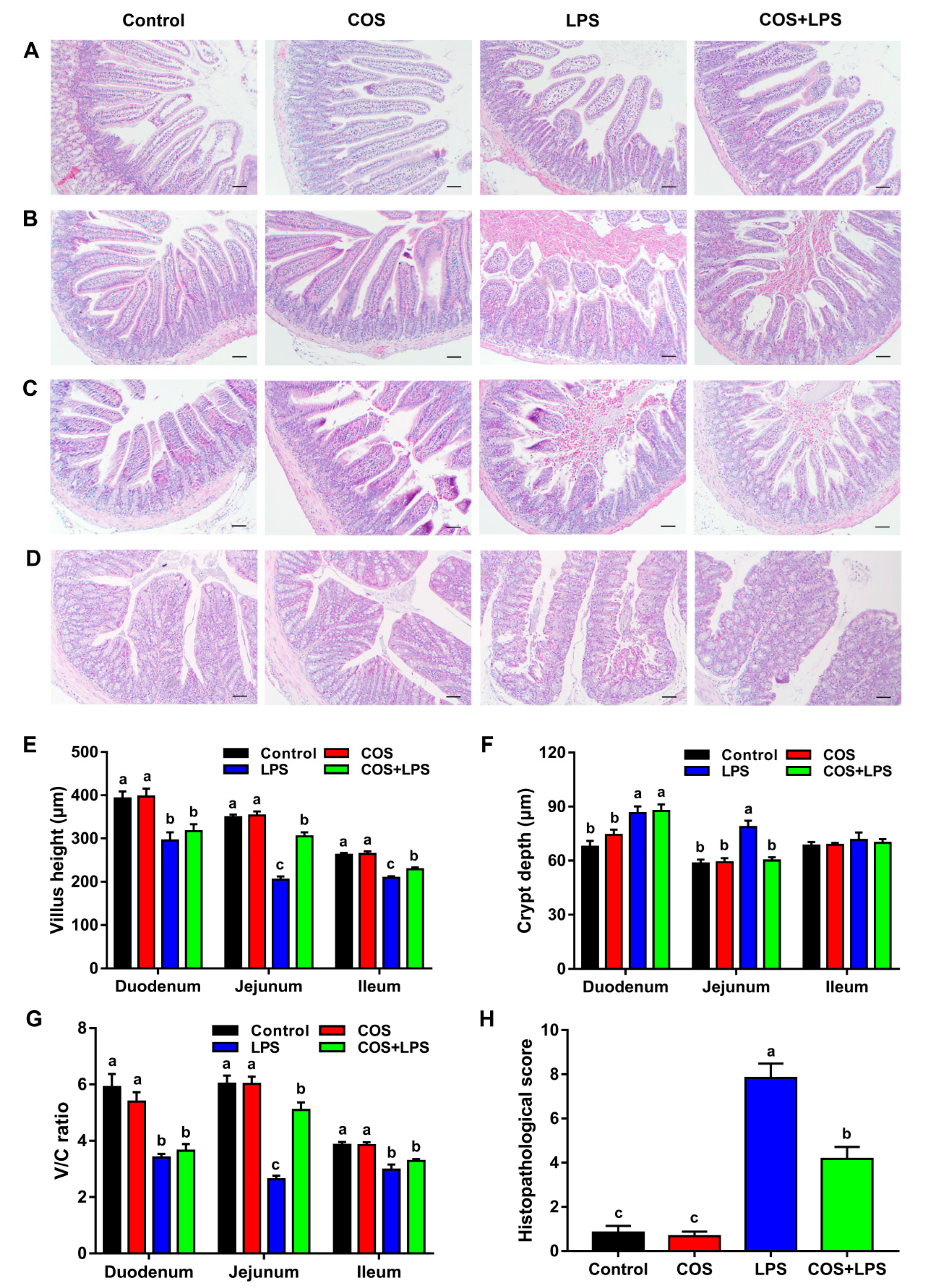 Antioxidants 11 01384 g002