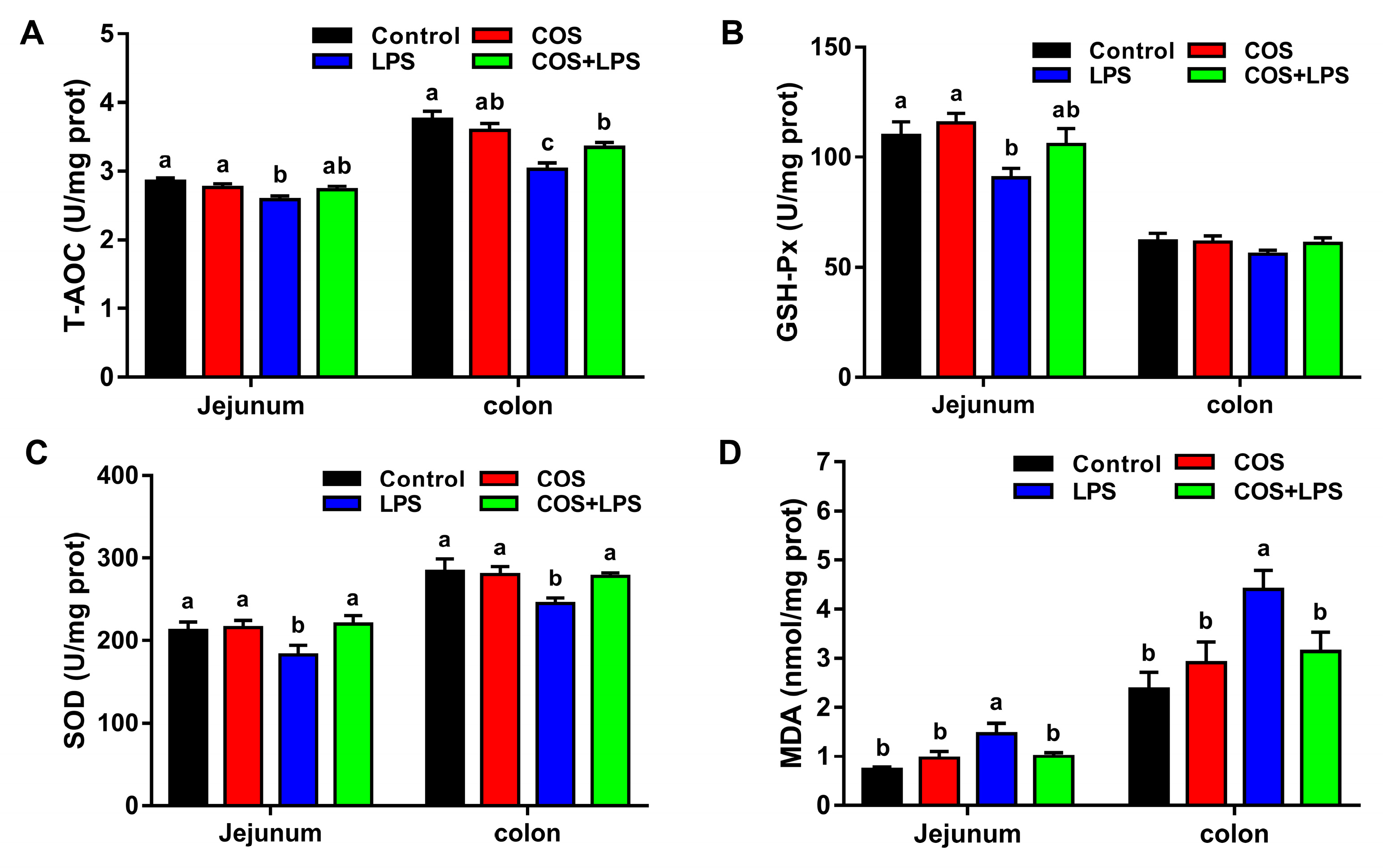 Antioxidants 11 01384 g007