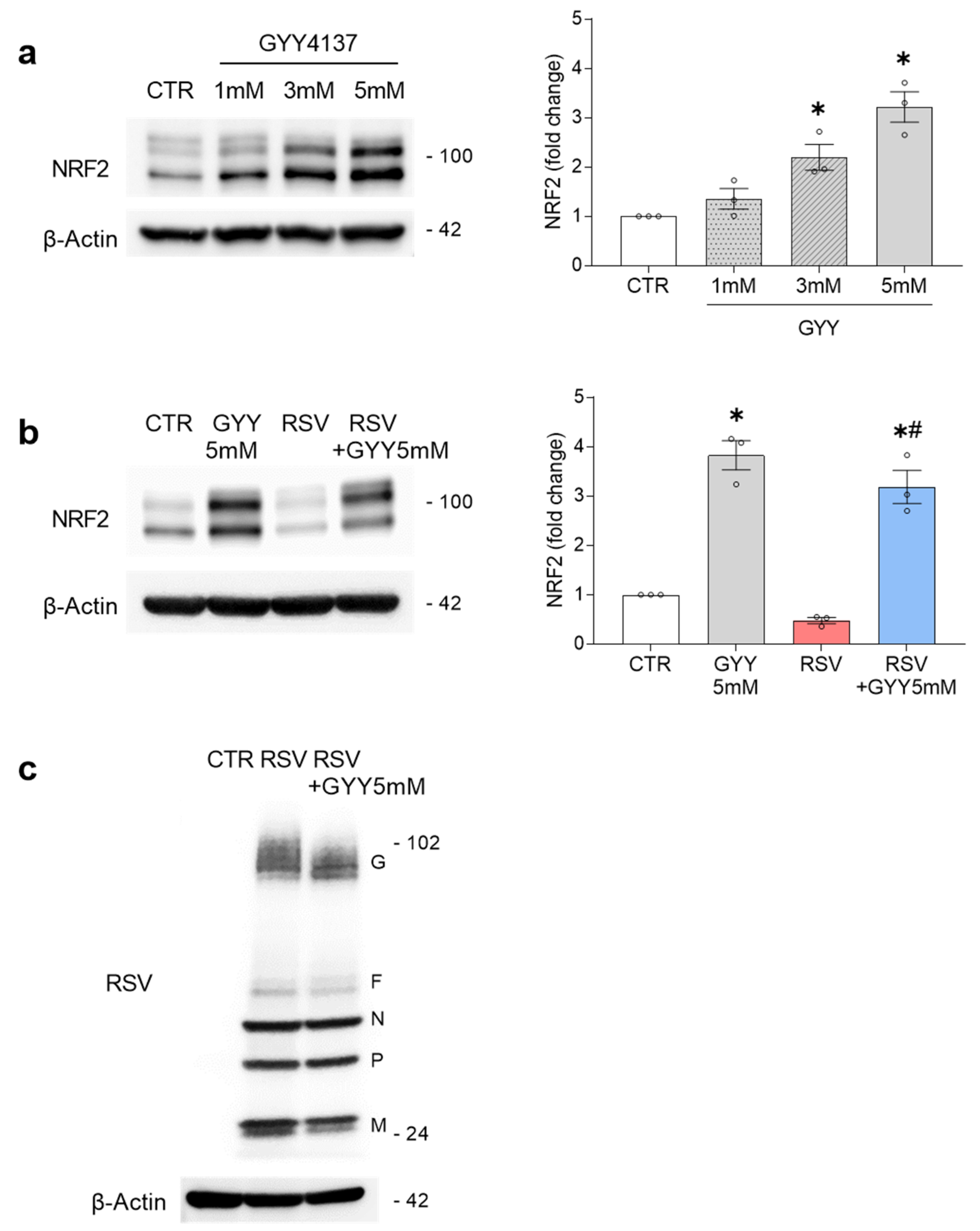 Antioxidants 11 01410 g001