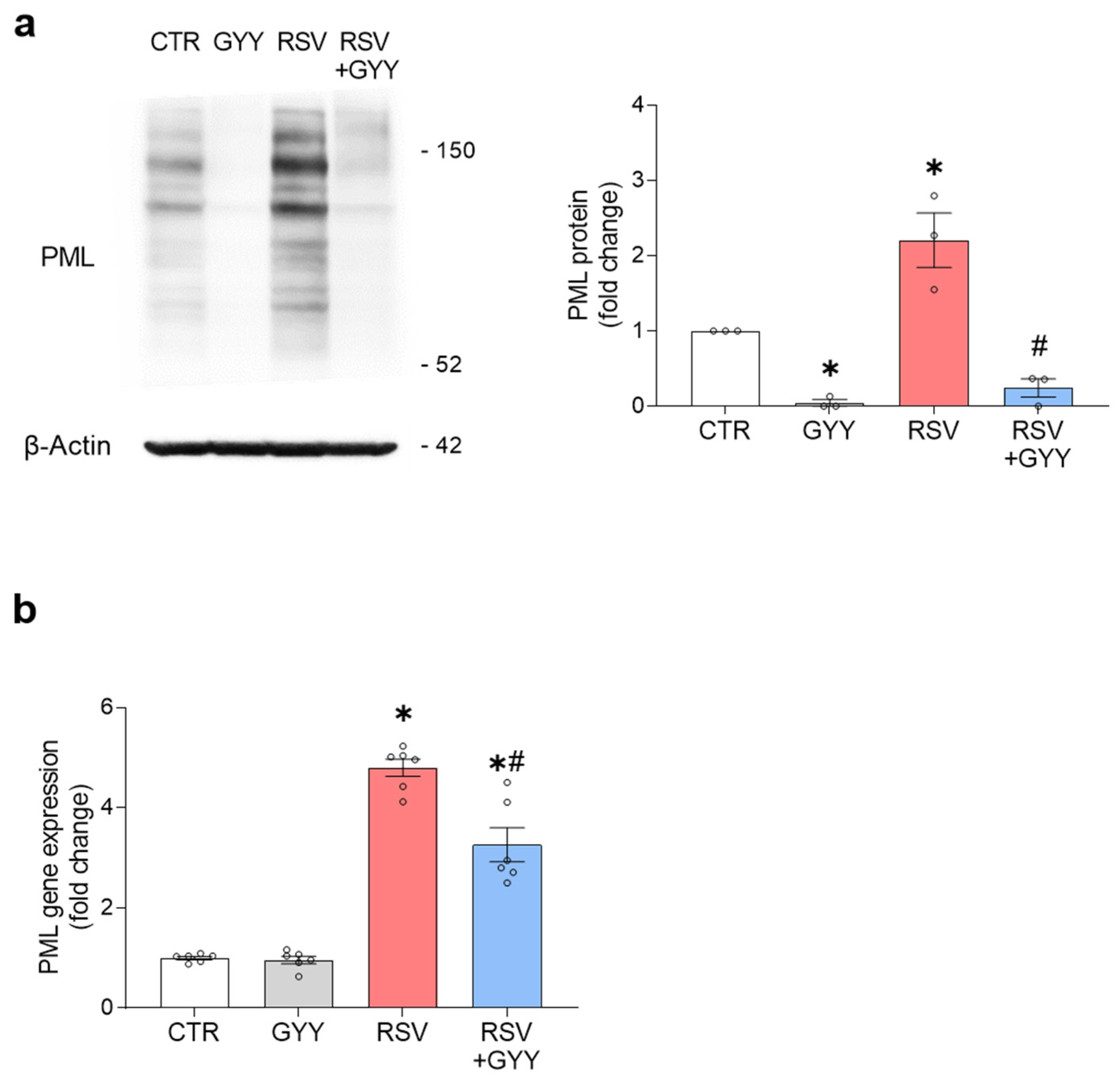 Antioxidants 11 01410 g005