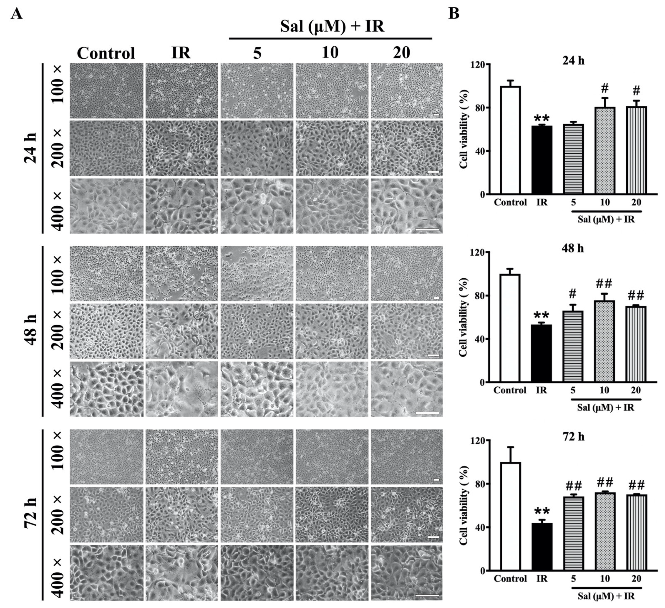 Antioxidants 11 01414 g001