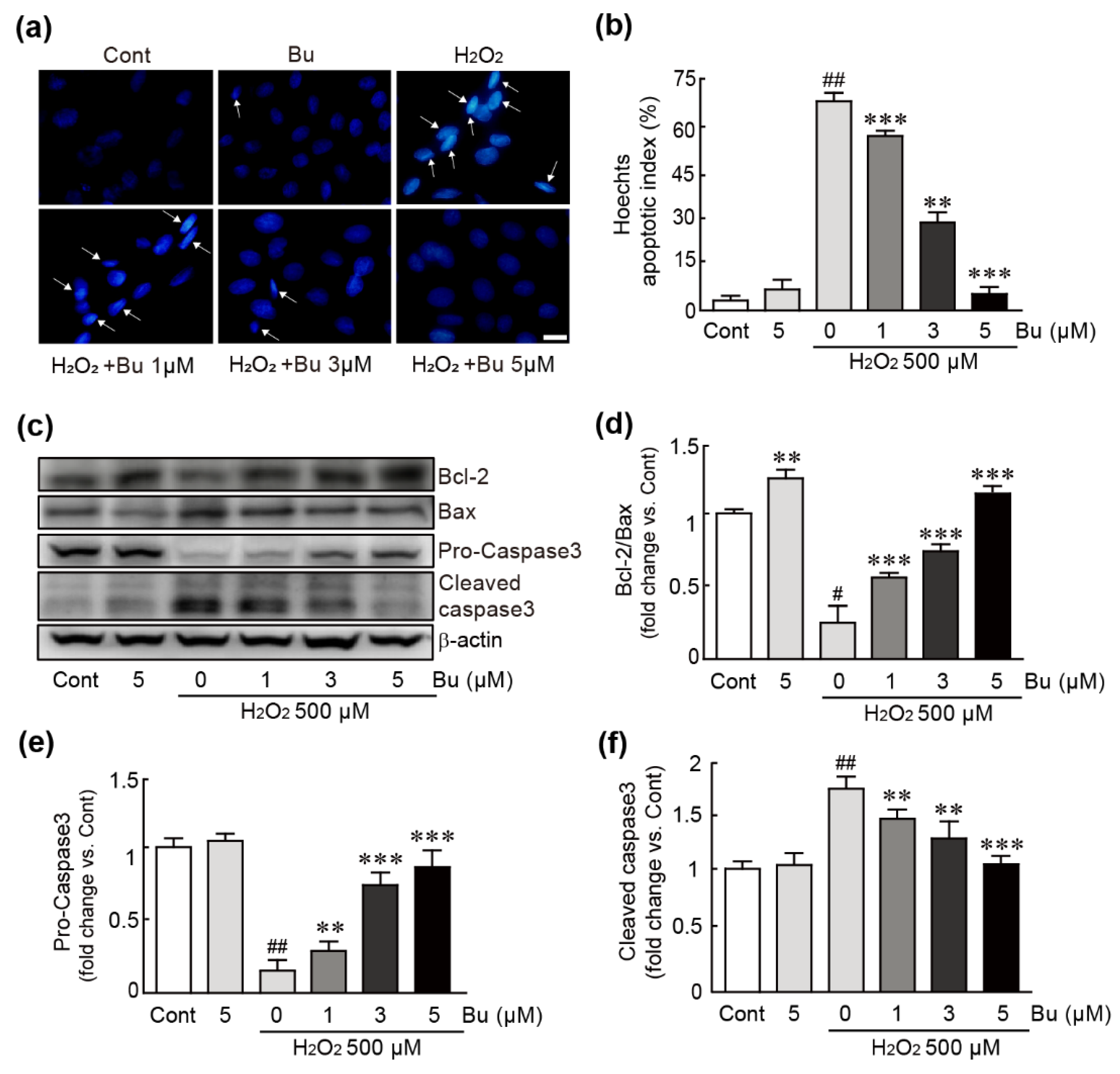 Antioxidants 11 01430 g003