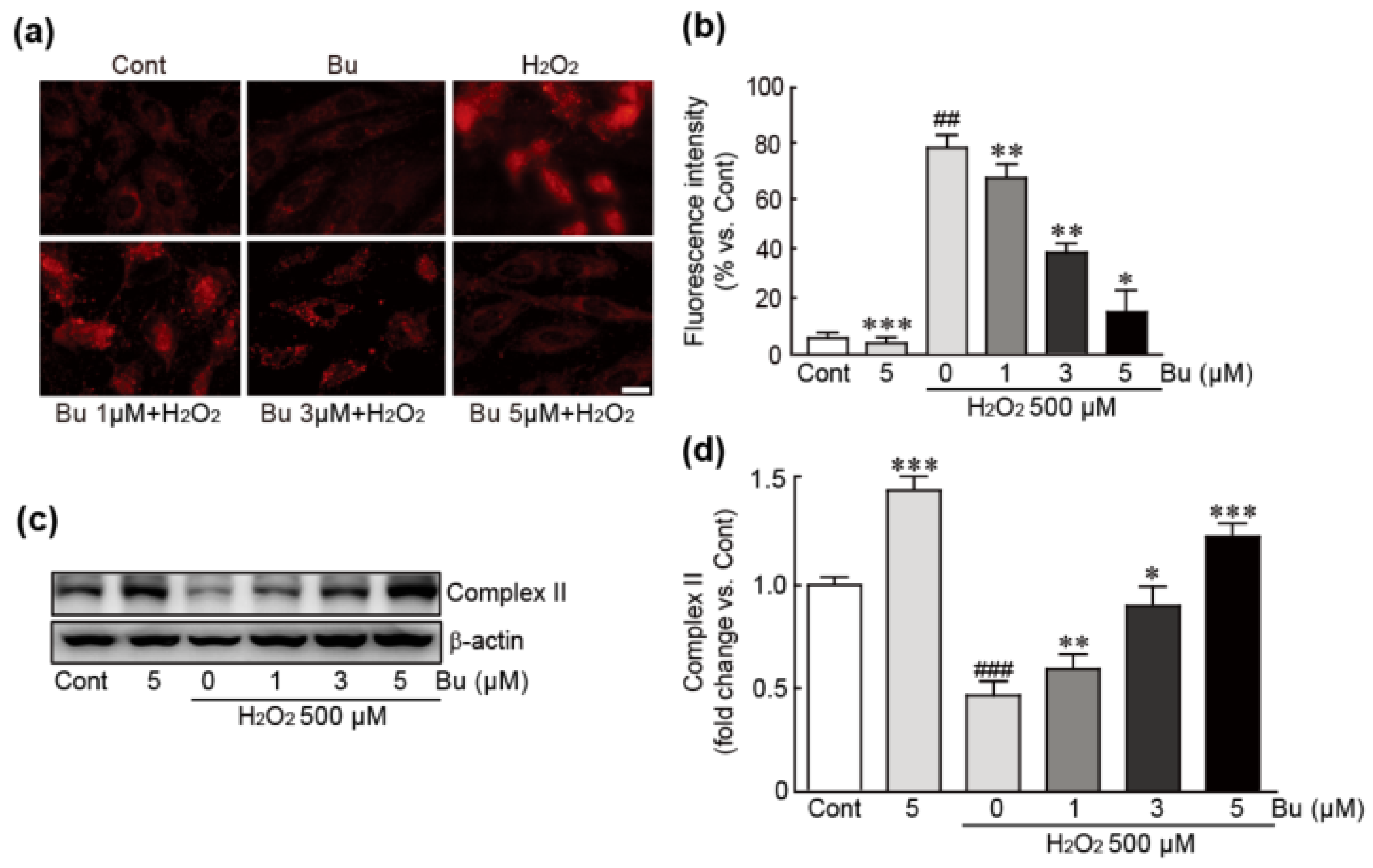 Antioxidants 11 01430 g005