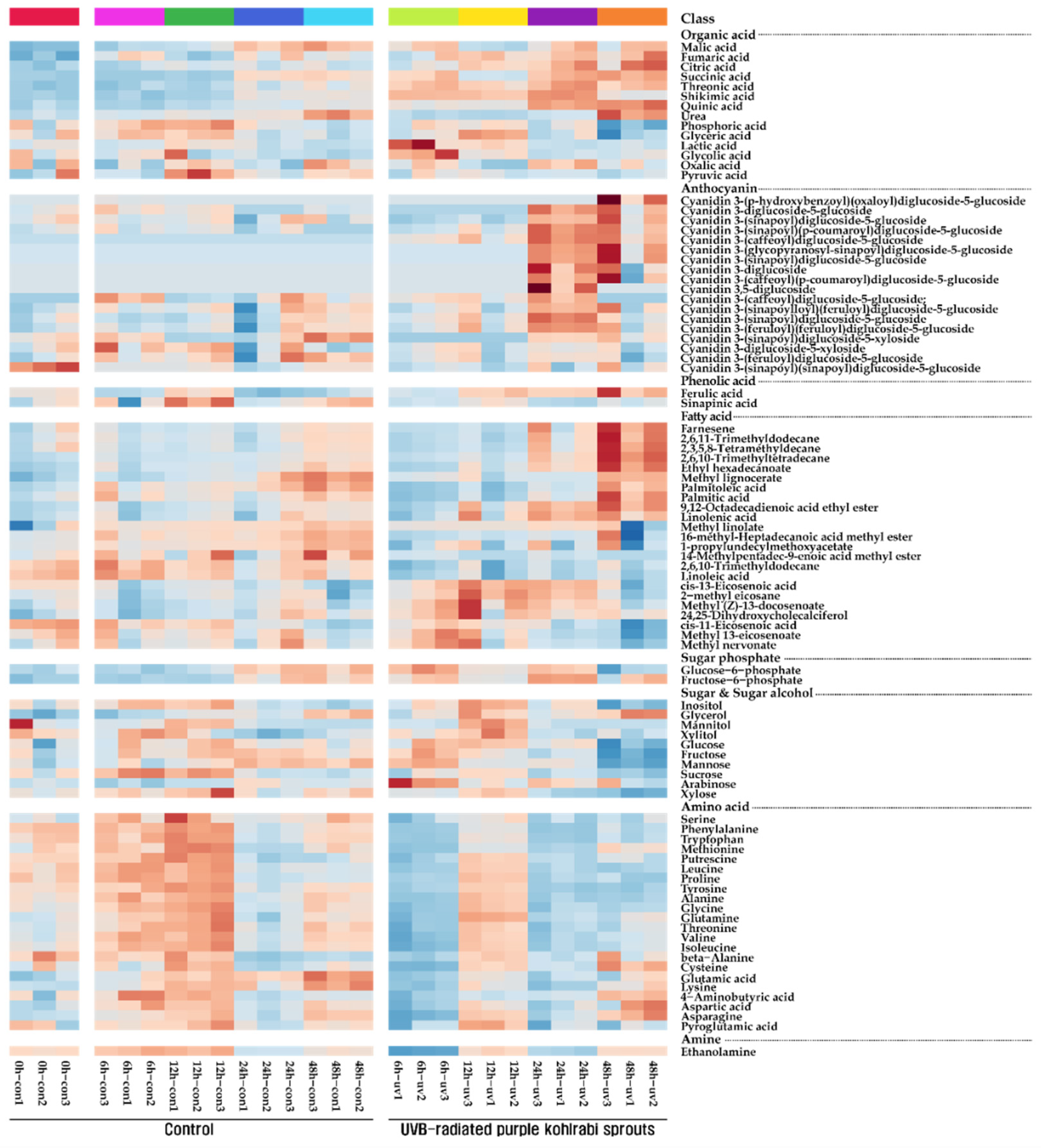 Antioxidants 11 01443 g001
