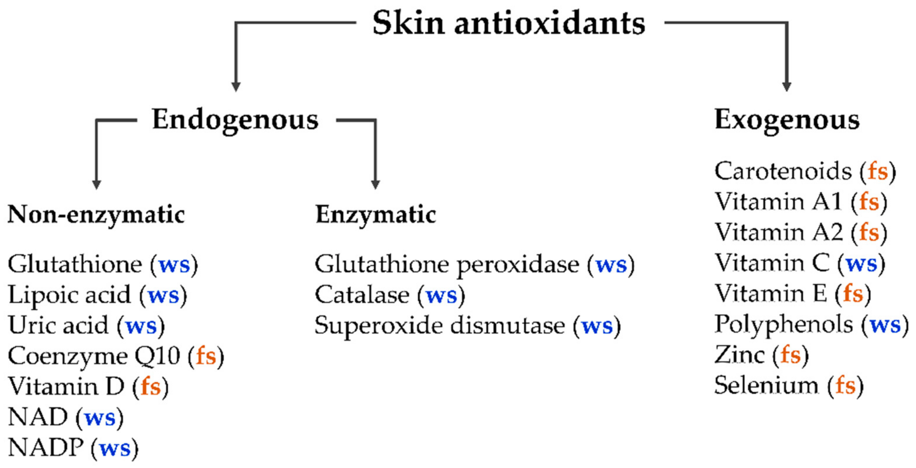 Antioxidants | Free Full-Text | Carotenoids in Human Skin In Vivo:  Antioxidant and Photo-Protectant Role against External and Internal  Stressors