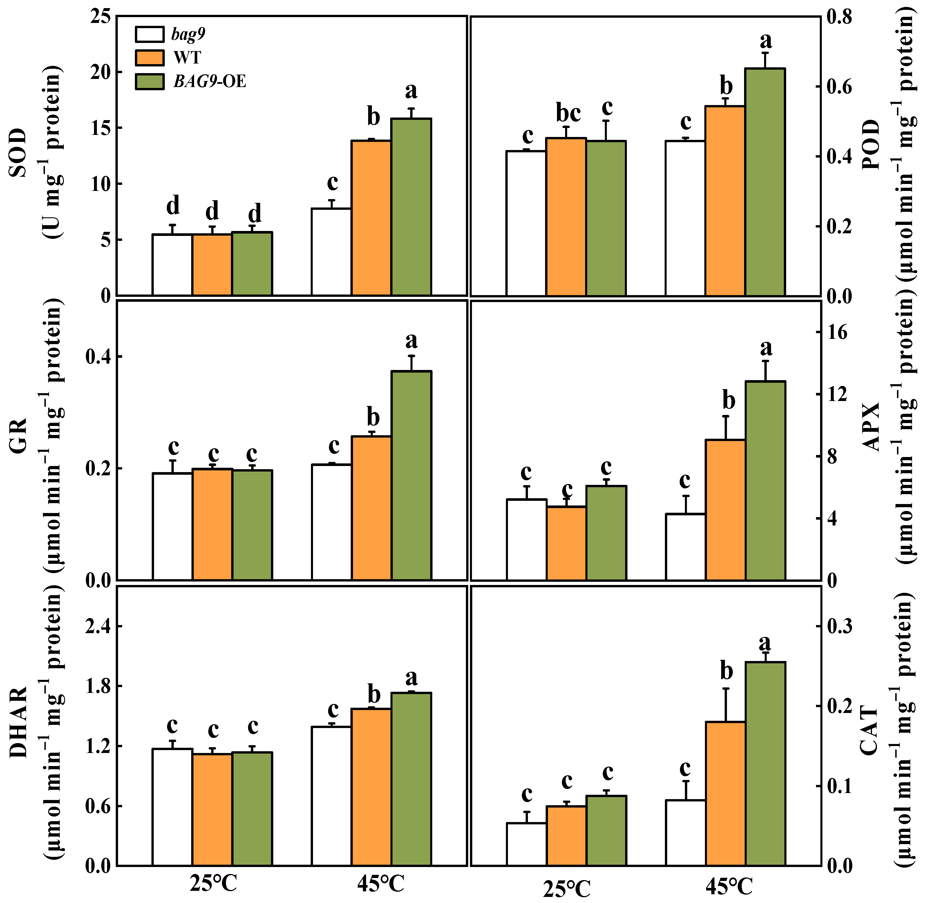 Antioxidants 11 01467 g005