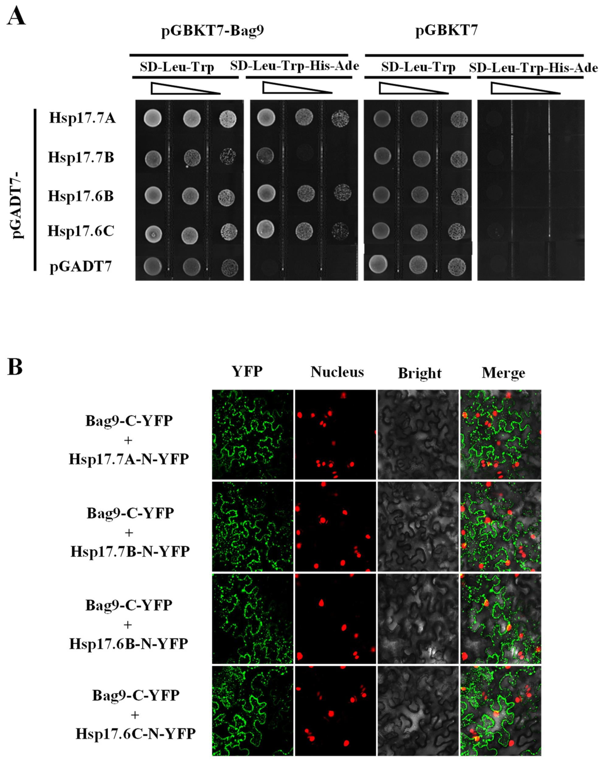 Antioxidants 11 01467 g007