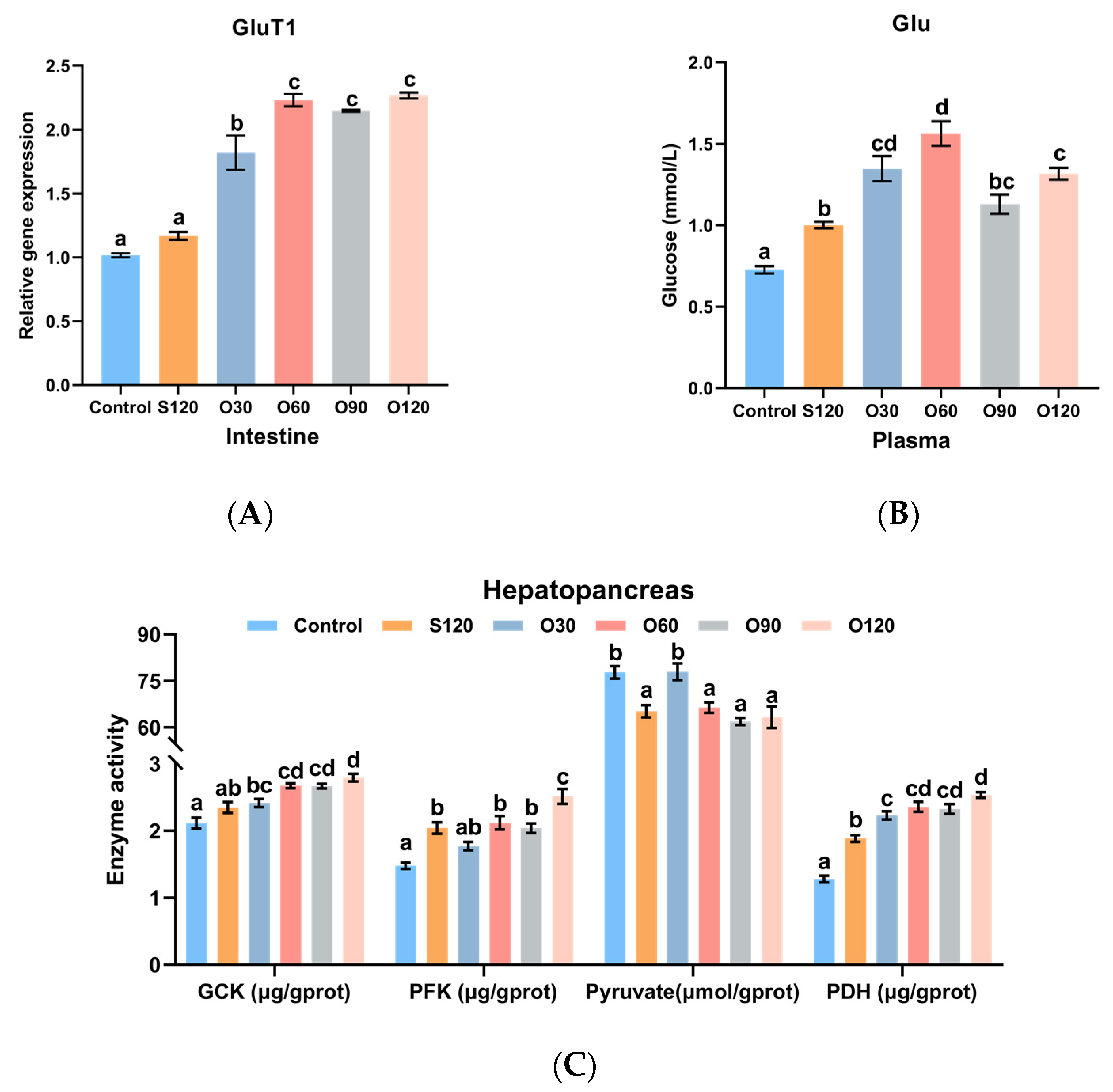 Antioxidants 11 01492 g004