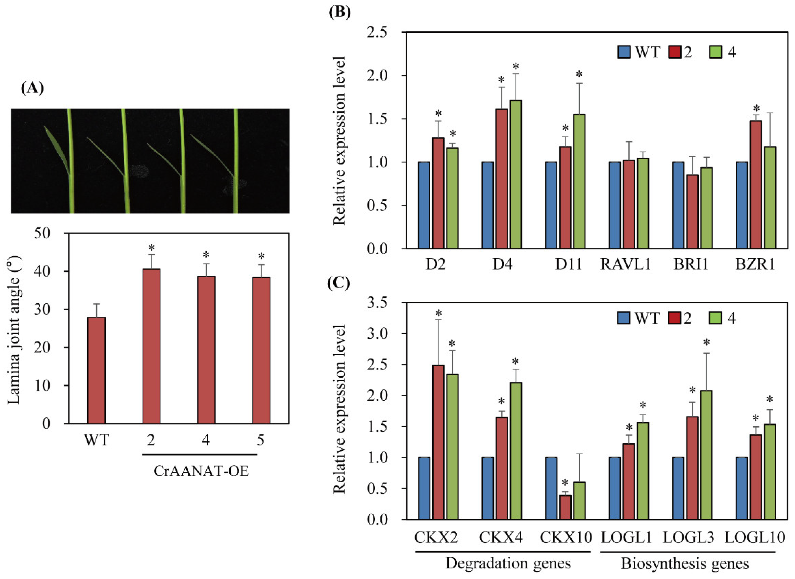 Antioxidants 11 01531 g008