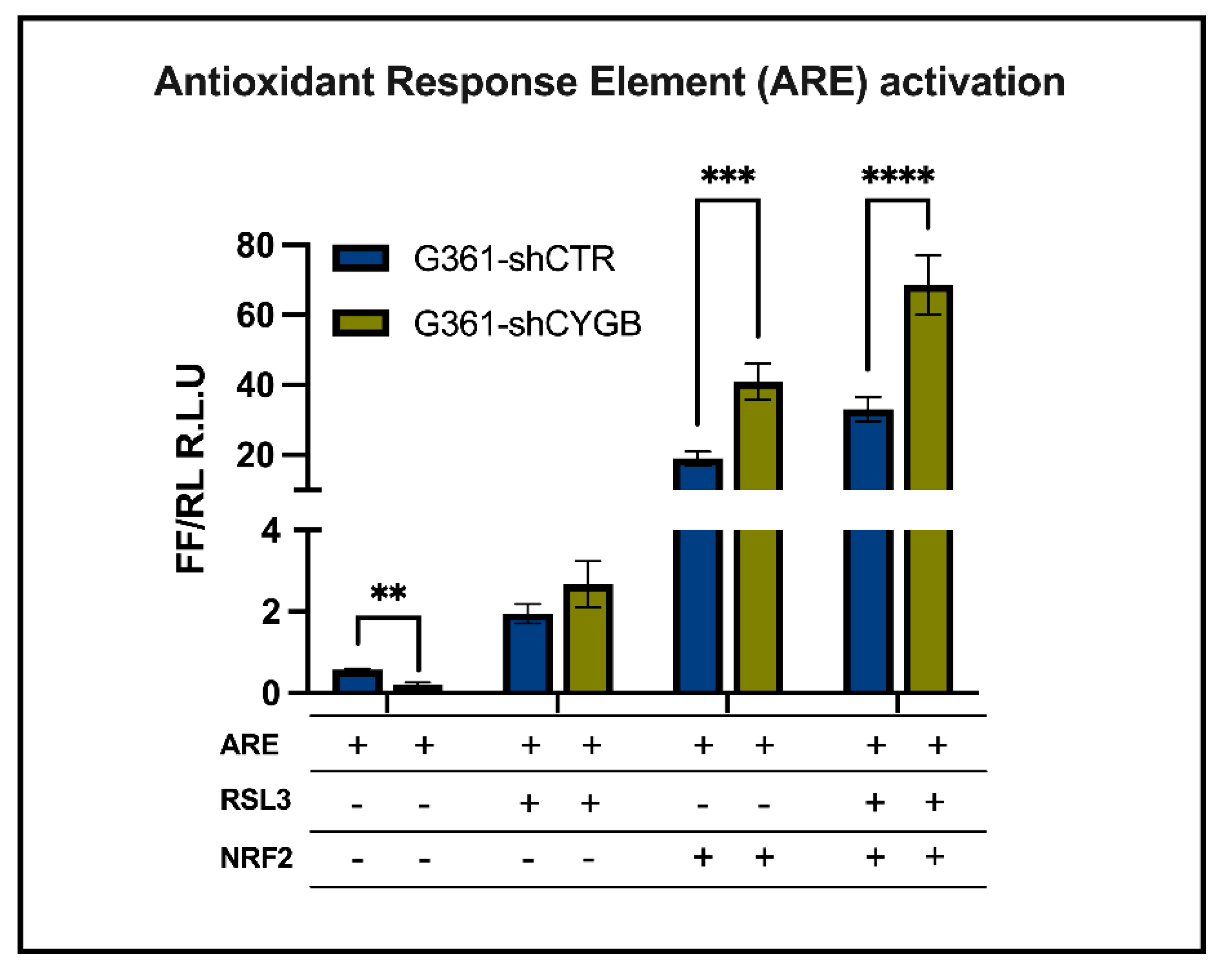 Antioxidants 11 01548 g003