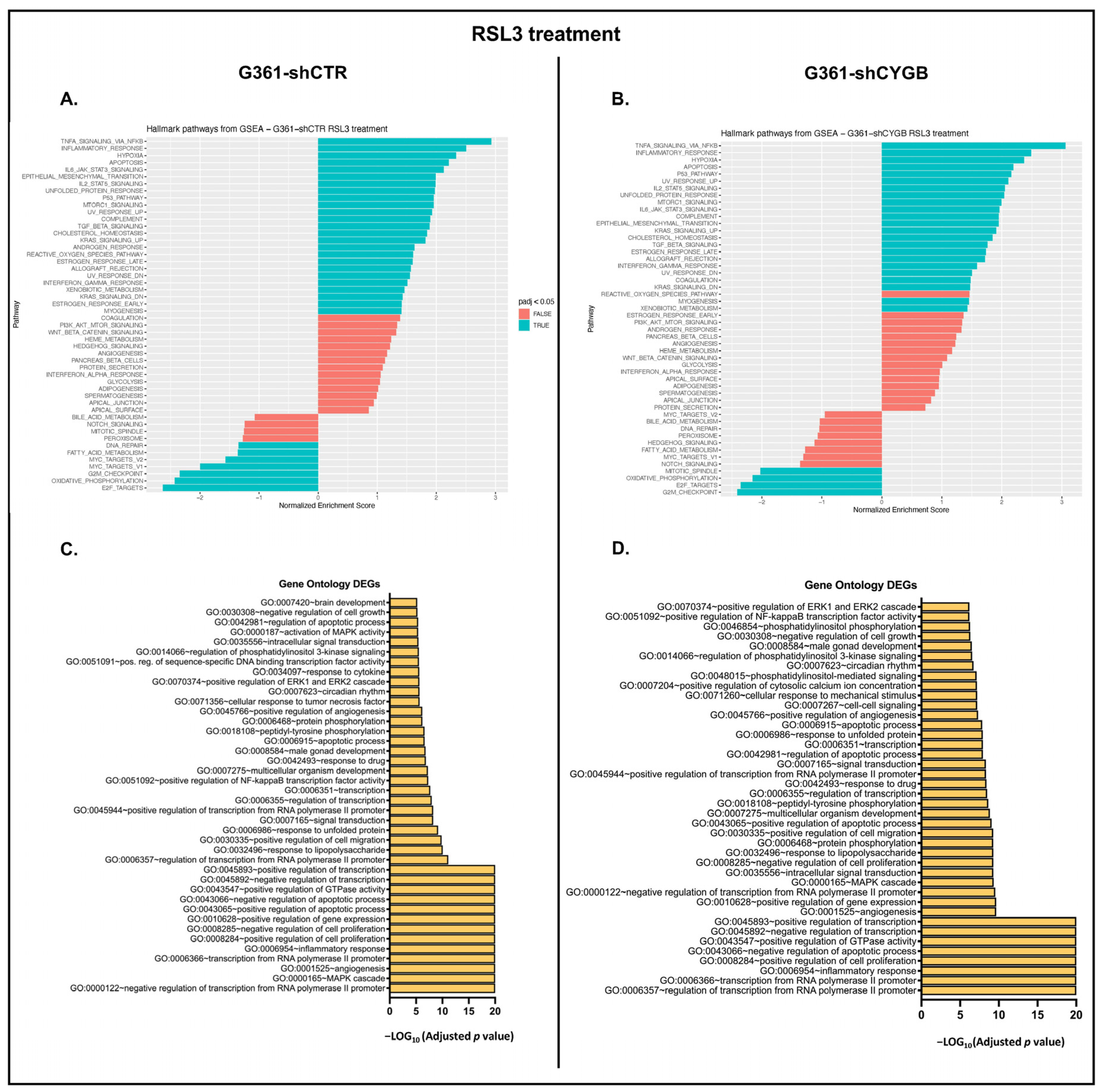 Antioxidants 11 01548 g006