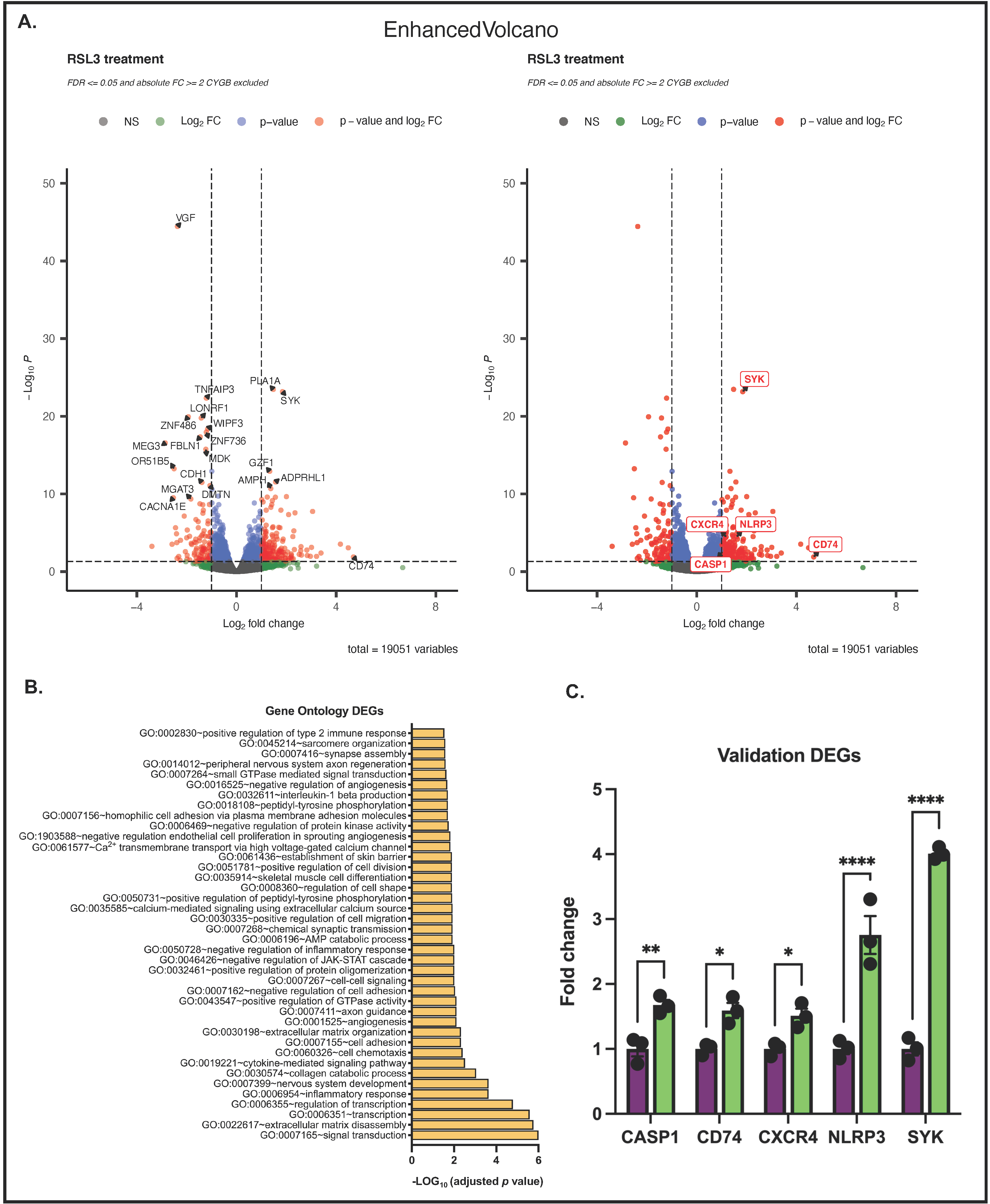 Antioxidants 11 01548 g007
