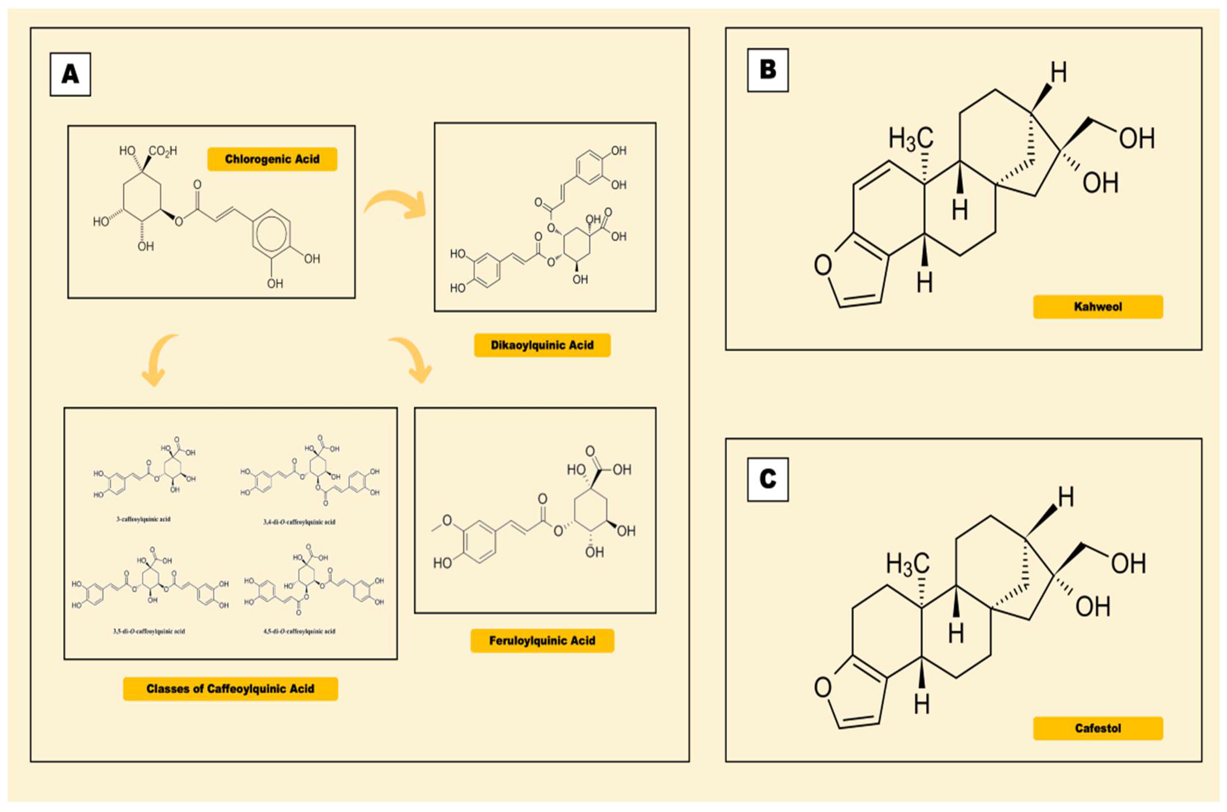 PDF) CHEMICAL COMPOSITION OF CONILON COFFEE IN DIFFERENT DEGREES