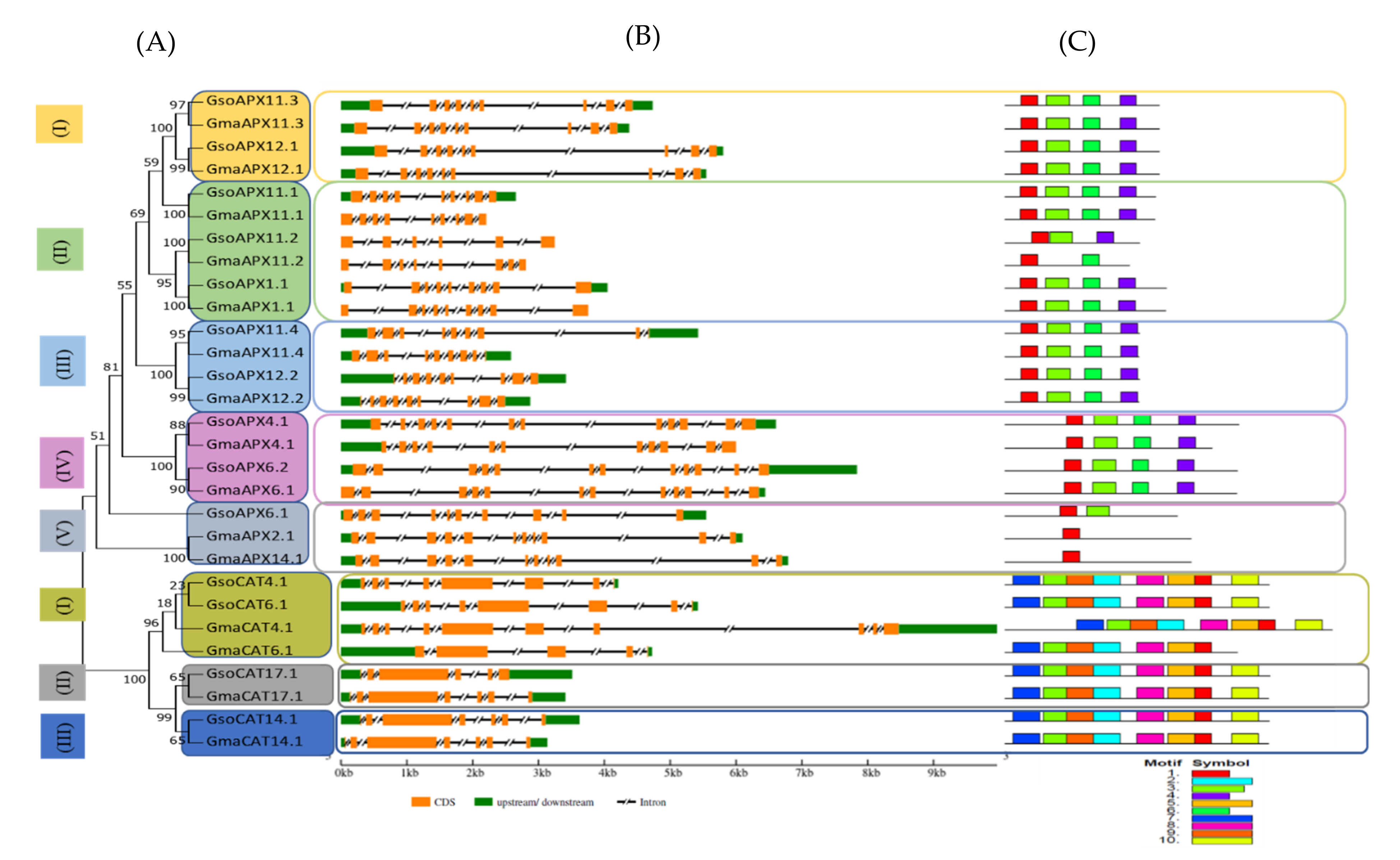 Whole-genome sequencing and intensive analysis of the undomesticated  soybean (Glycine soja Sieb. and Zucc.) genome