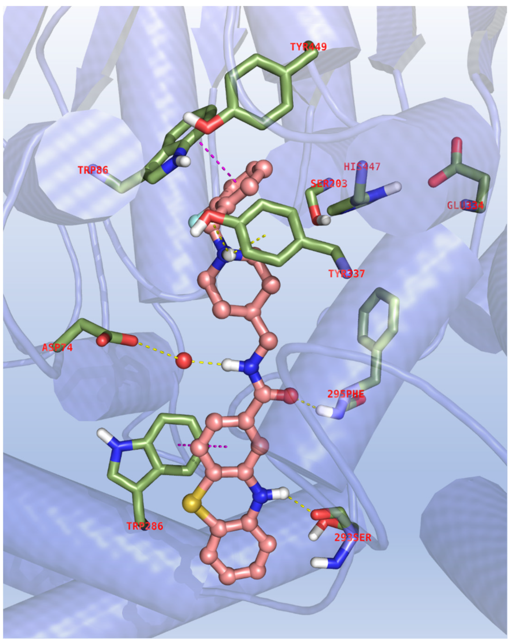 Antioxidants 11 01631 g003