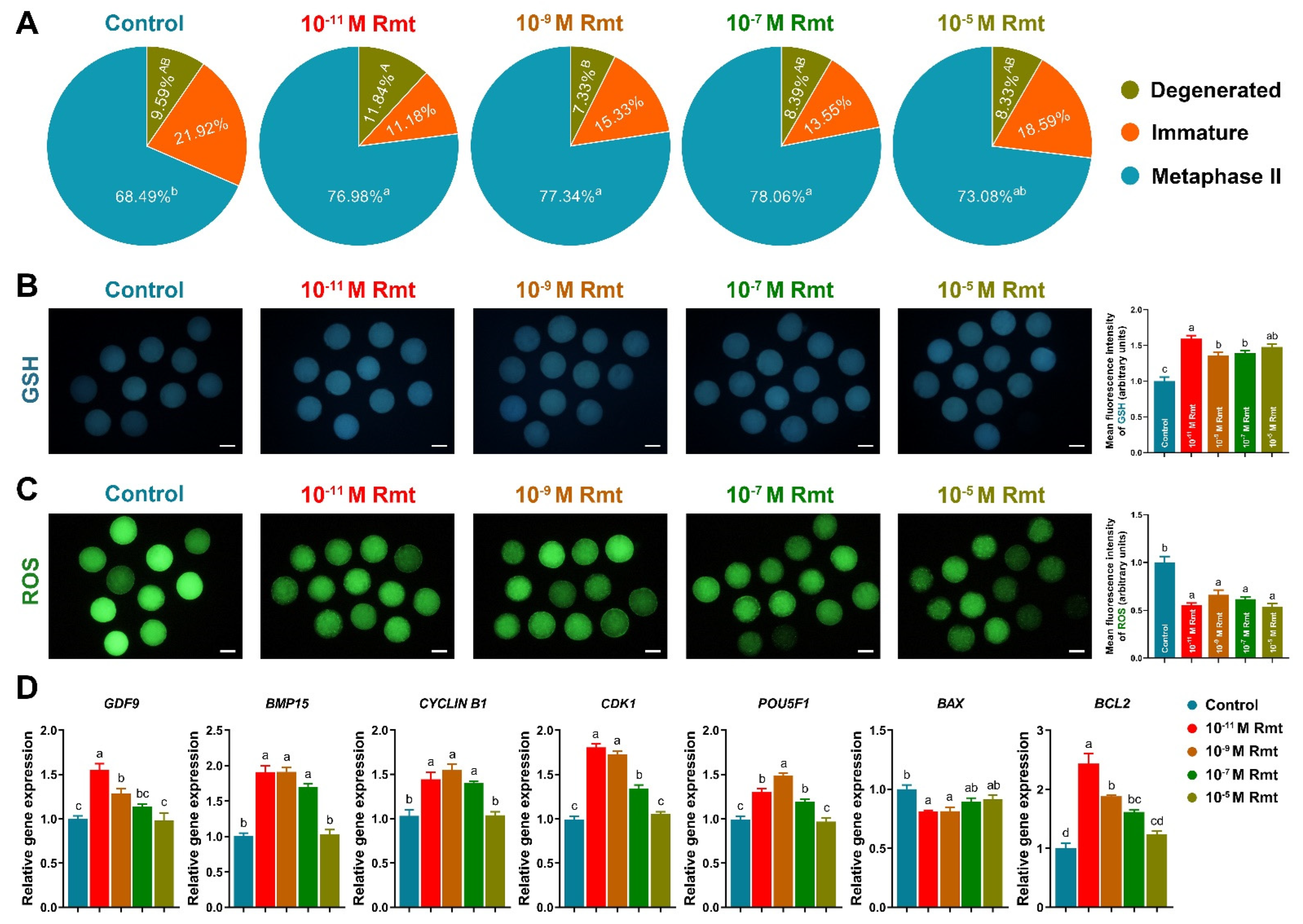 Antioxidants 11 01640 g002