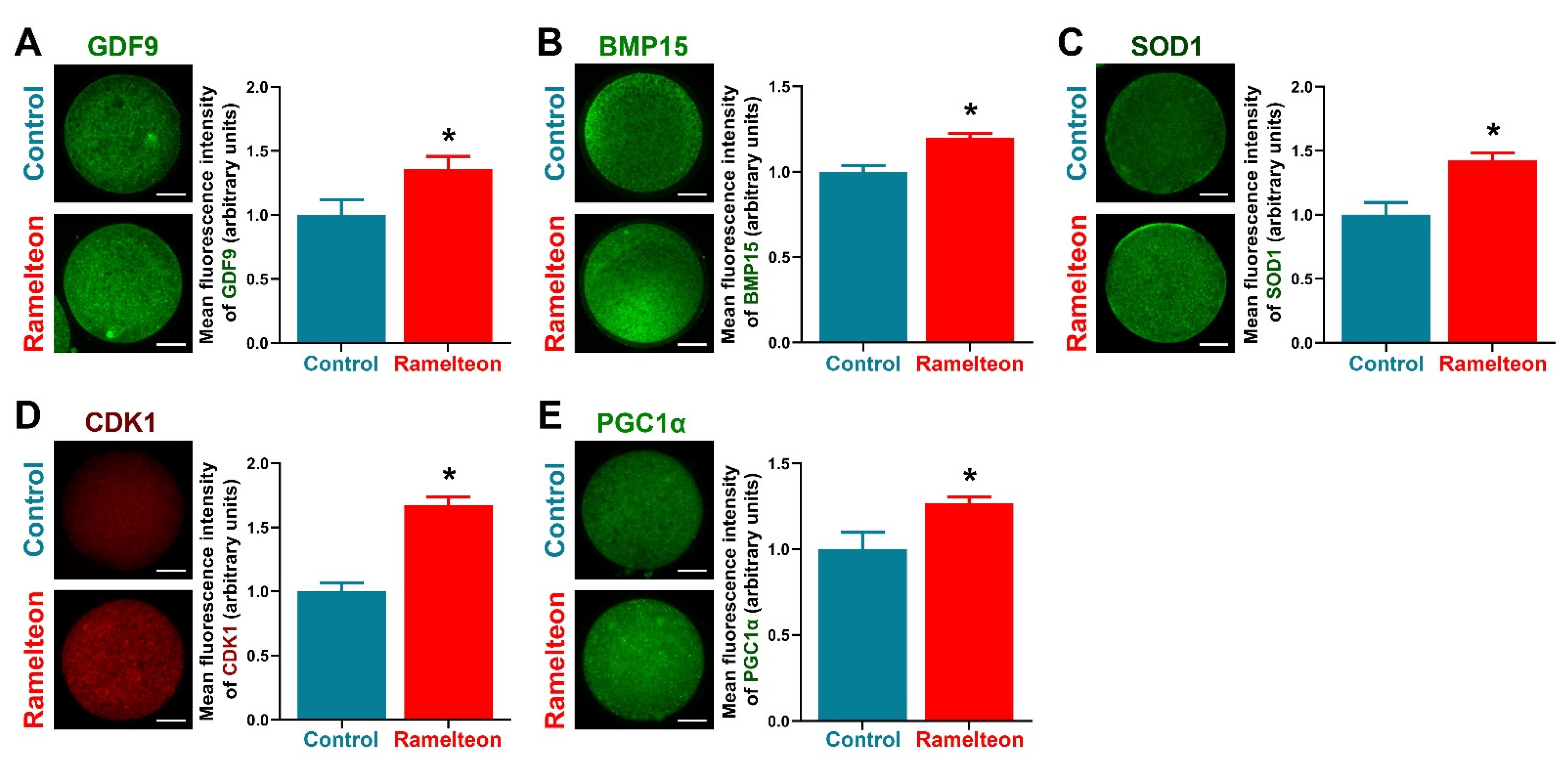 Antioxidants 11 01640 g005