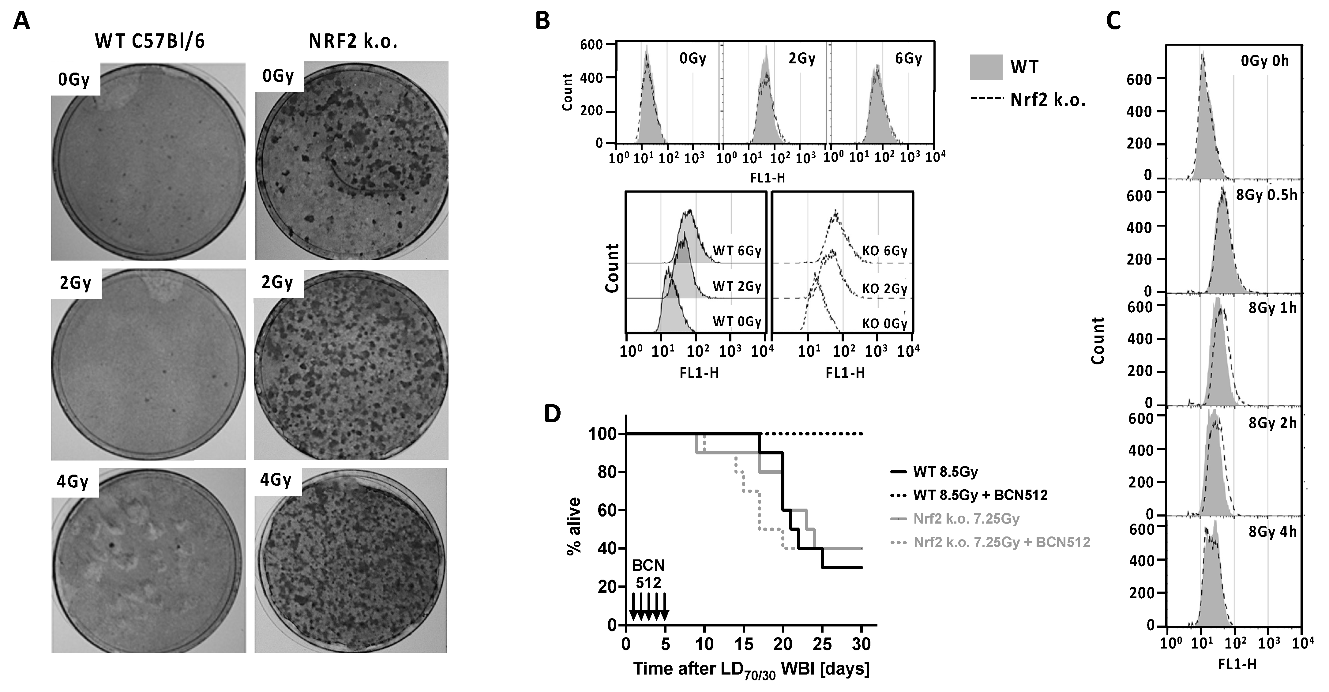 Antioxidants 11 01649 g001
