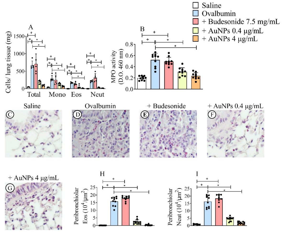 Antioxidants 11 01659 g002 Antioxidants 11 01659 g002