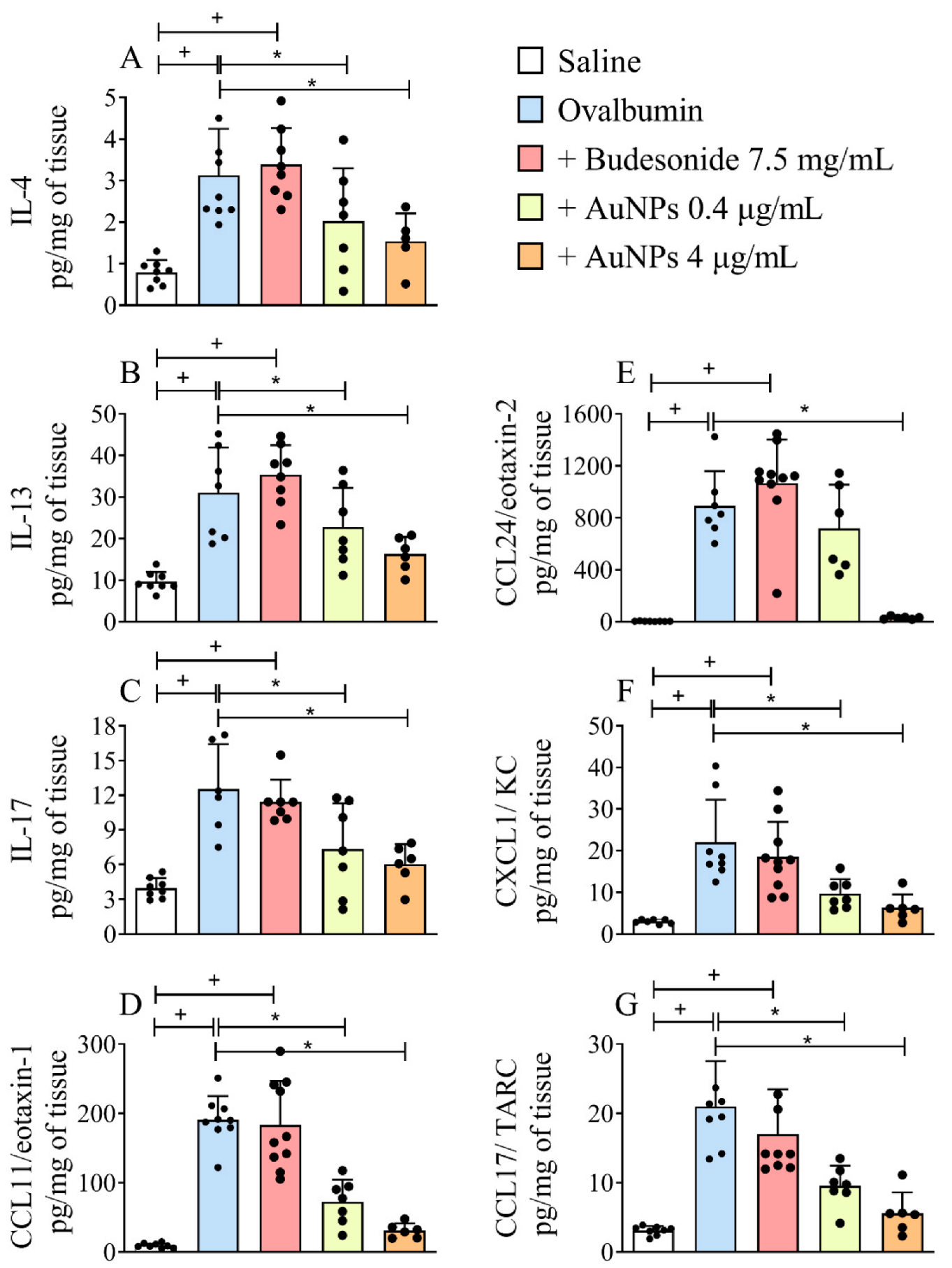 Antioxidants 11 01659 g004 Antioxidants 11 01659 g004
