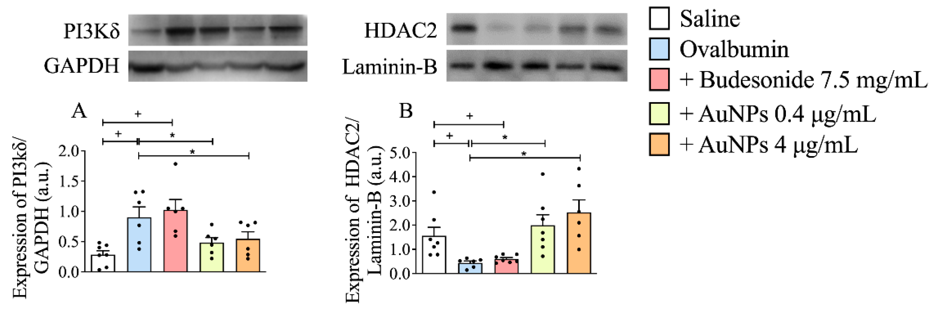 Antioxidants 11 01659 g006 Antioxidants 11 01659 g006