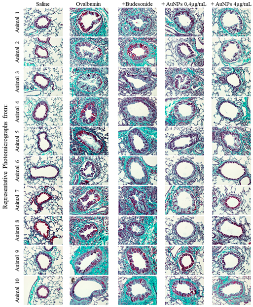 Antioxidants 11 01659 g0a3 Antioxidants 11 01659 g0a3