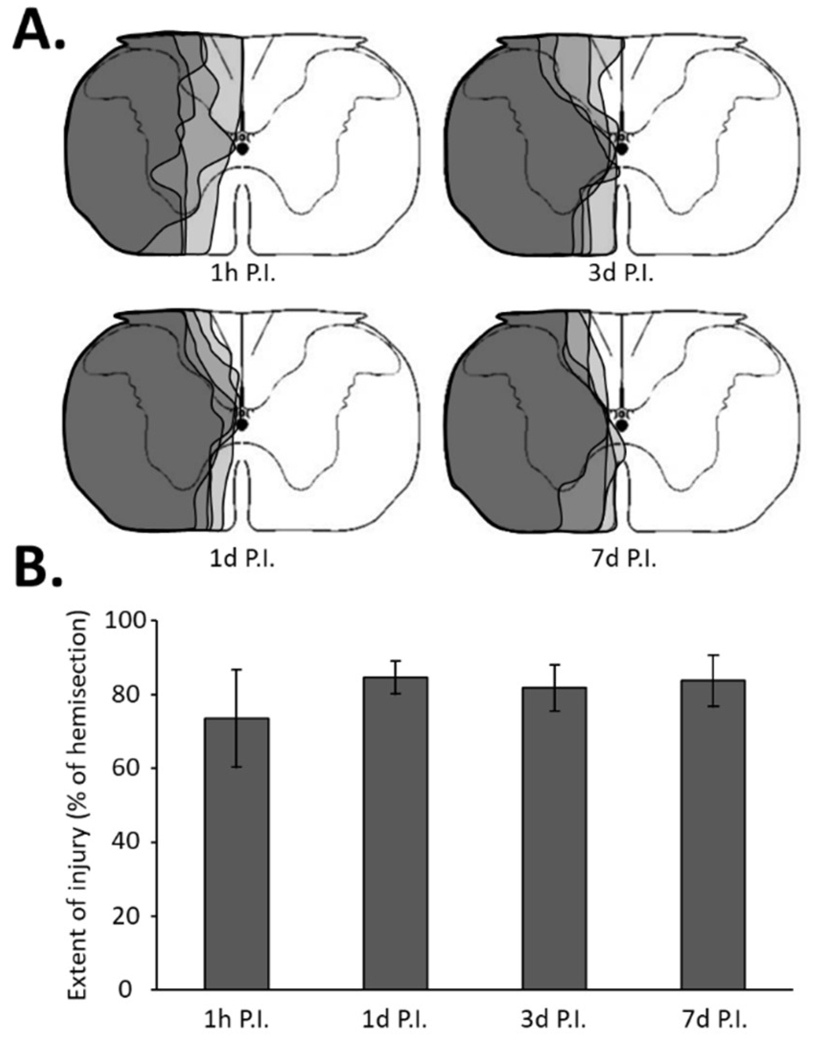 Antioxidants 11 01665 g001