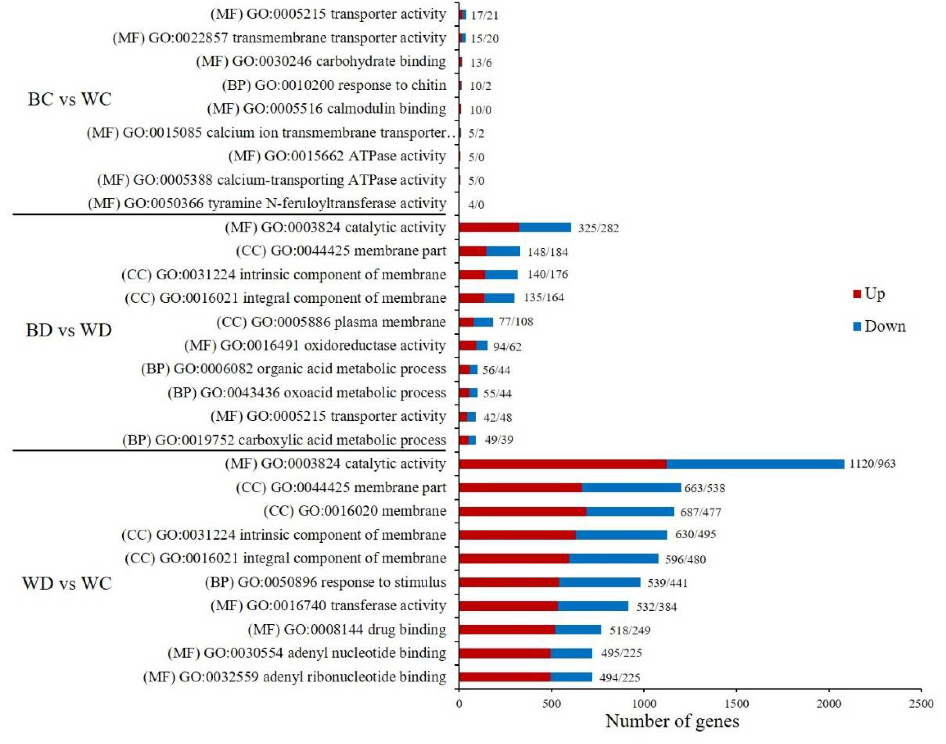 Antioxidants 11 01701 g007