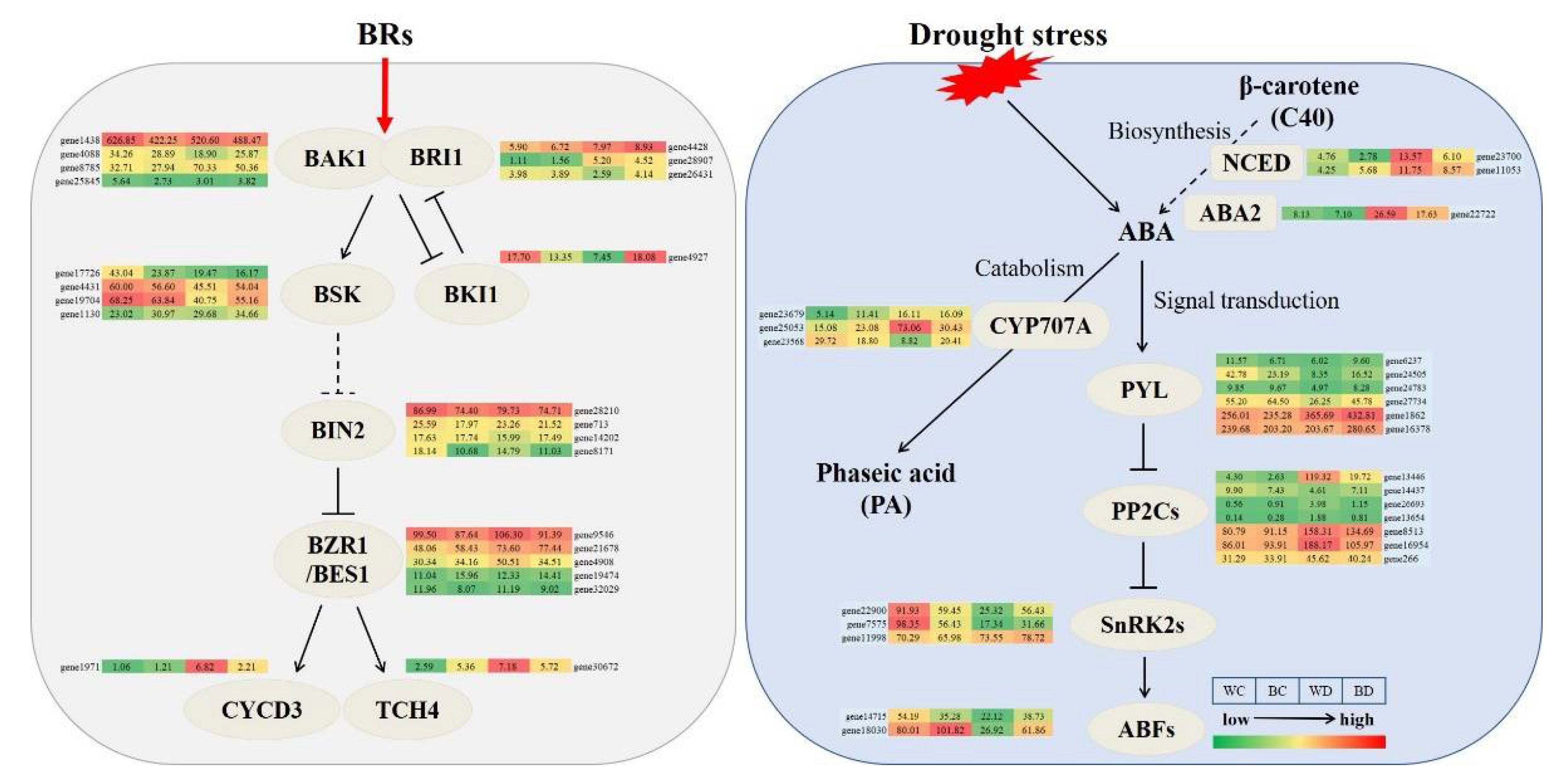 Antioxidants 11 01701 g009