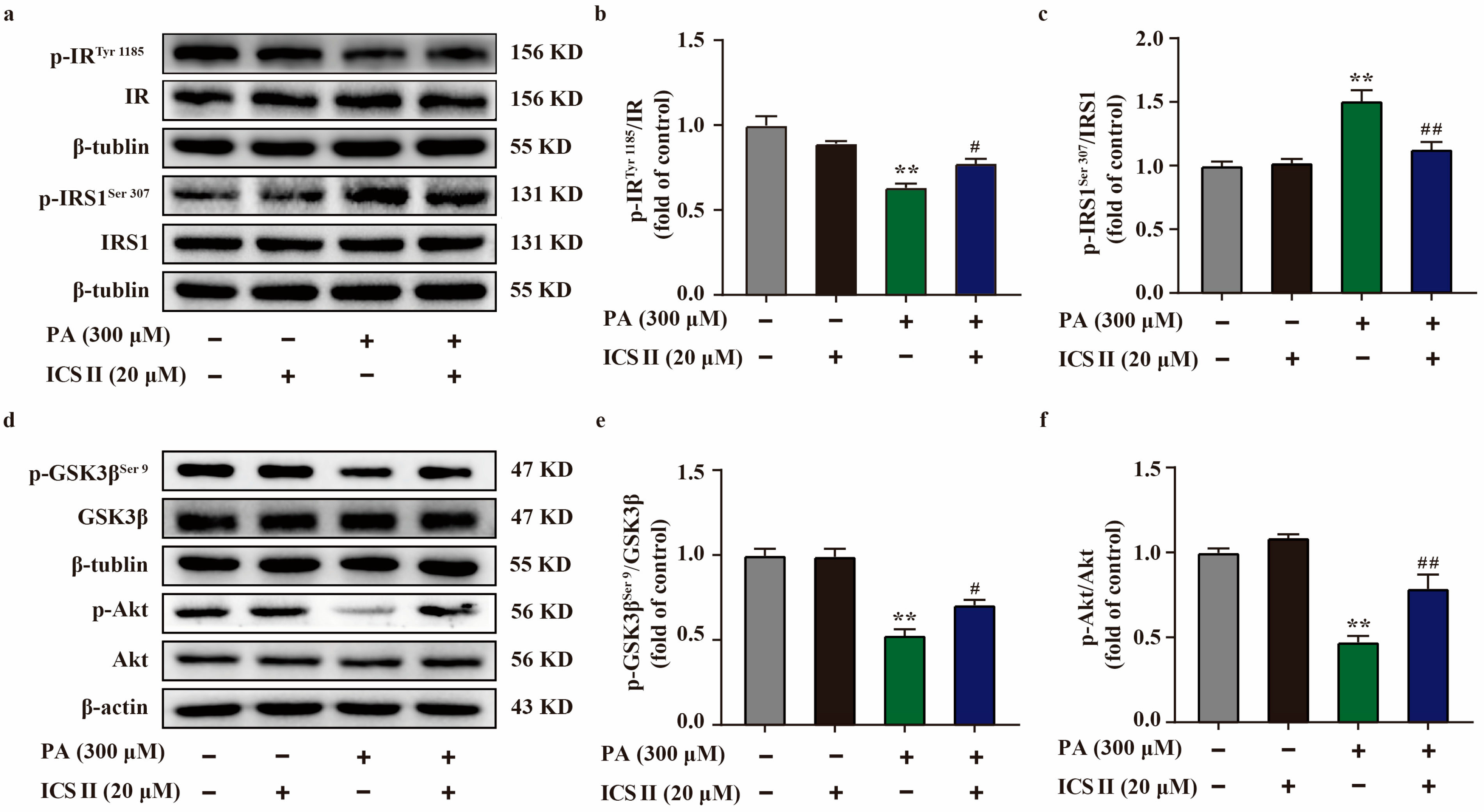 Antioxidants 11 01705 g009