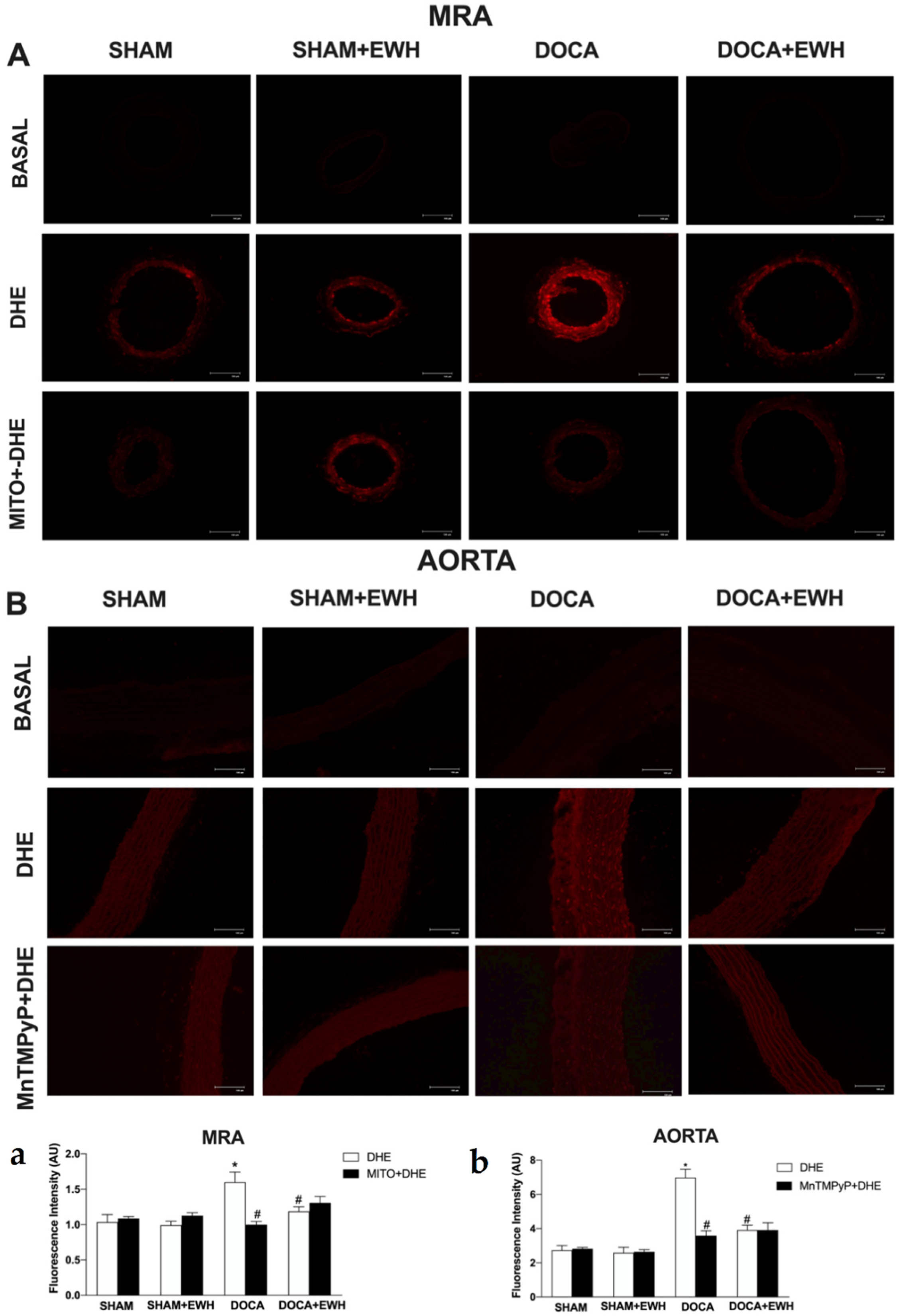 Antioxidants 11 01713 g007