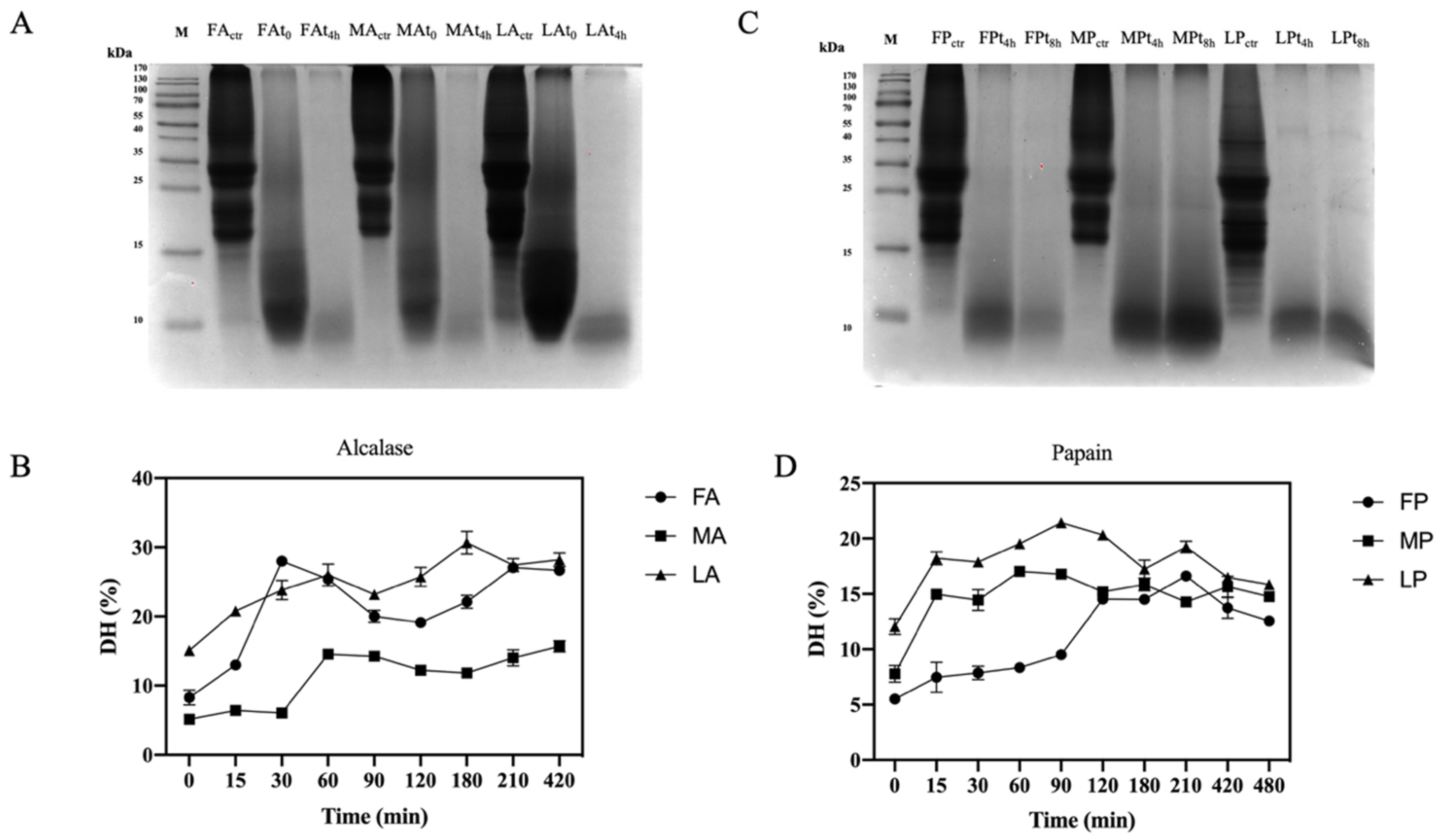 Antioxidants 11 01730 g004 Antioxidants 11 01730 g004