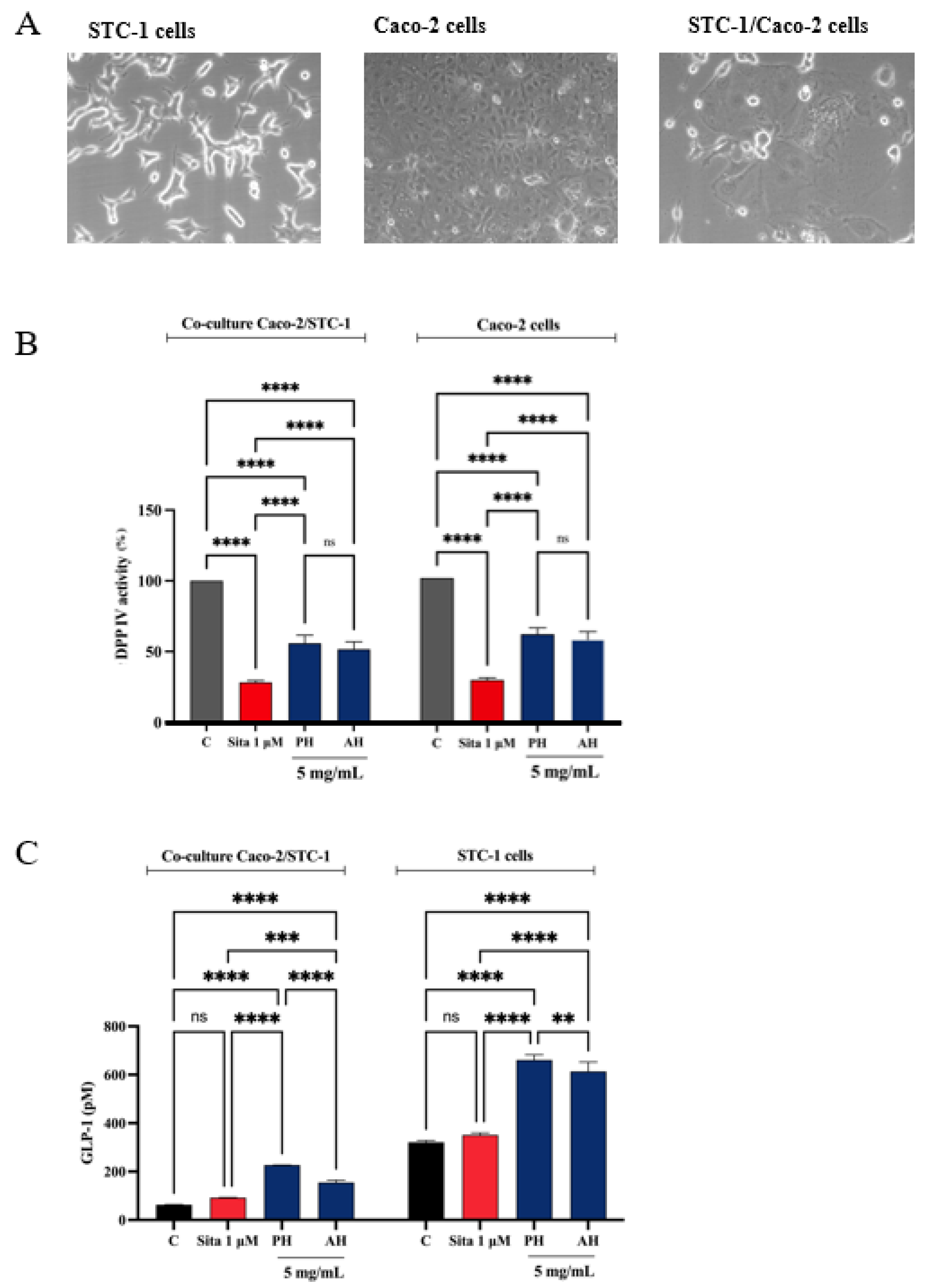 Antioxidants 11 01730 g013 Antioxidants 11 01730 g013