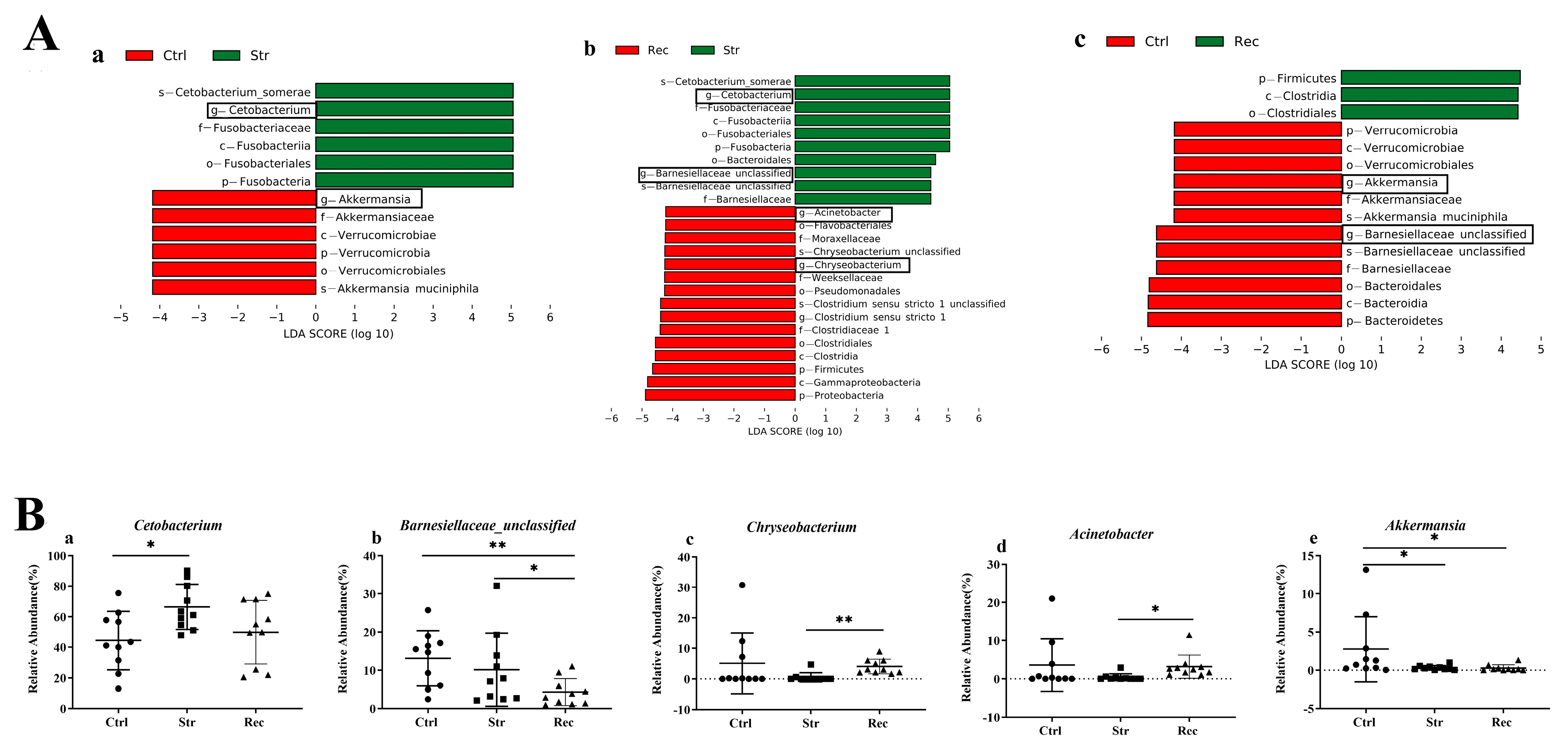 Antioxidants 11 01737 g007