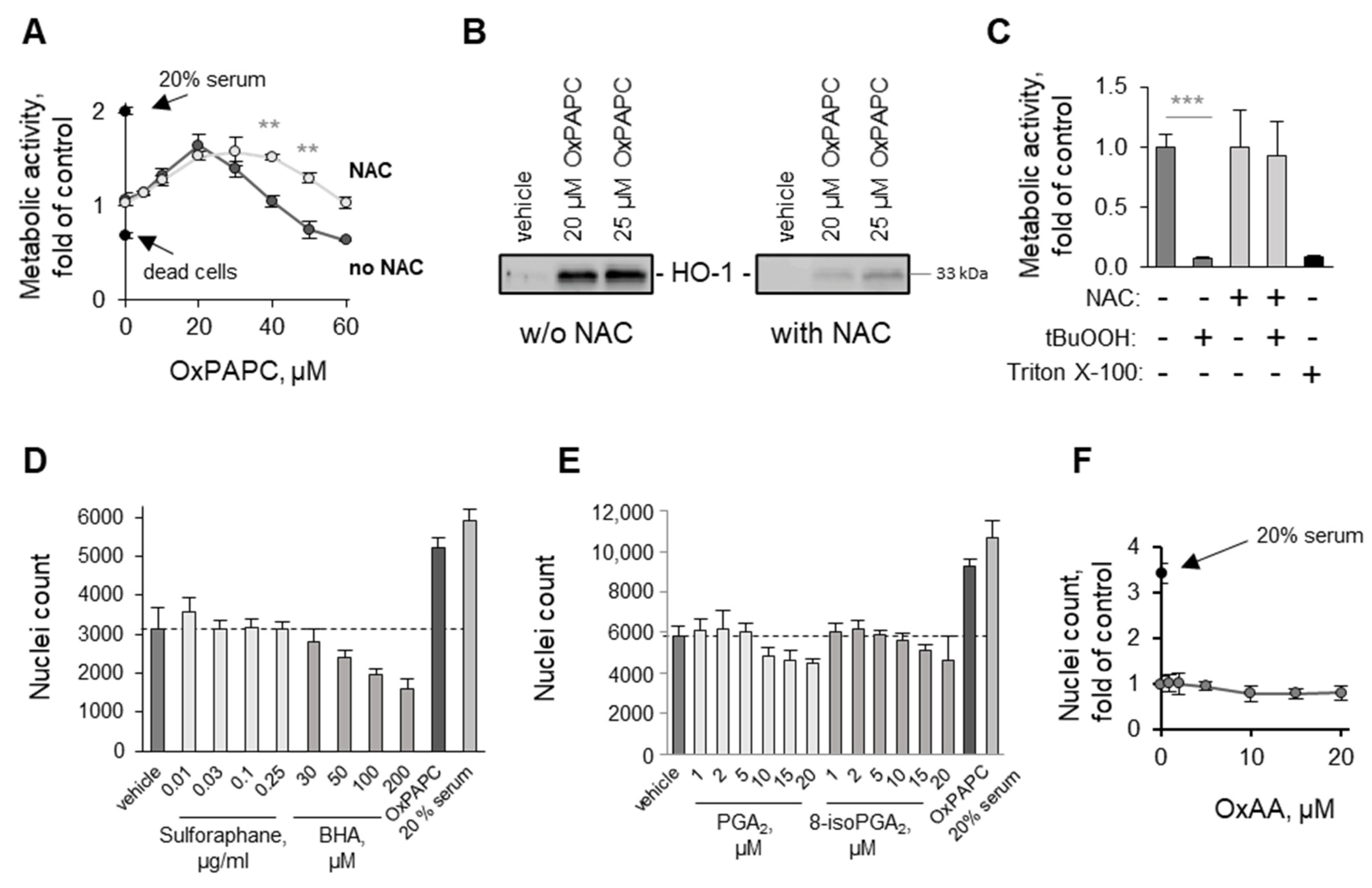 Antioxidants 11 01741 g006