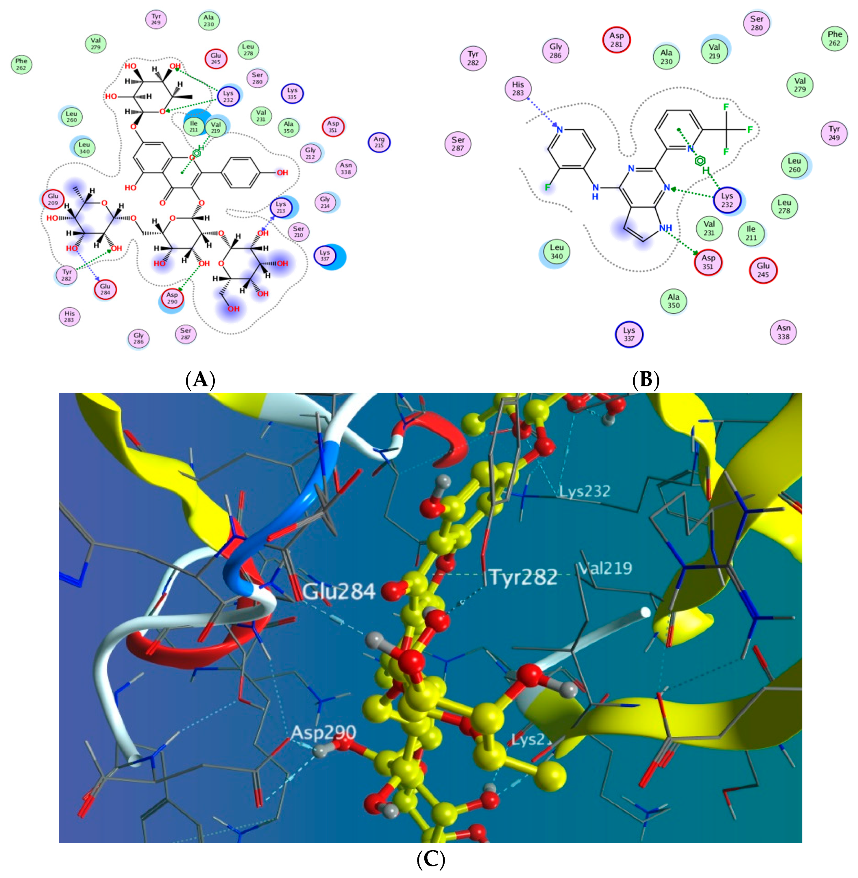 Antioxidants 11 01743 g009