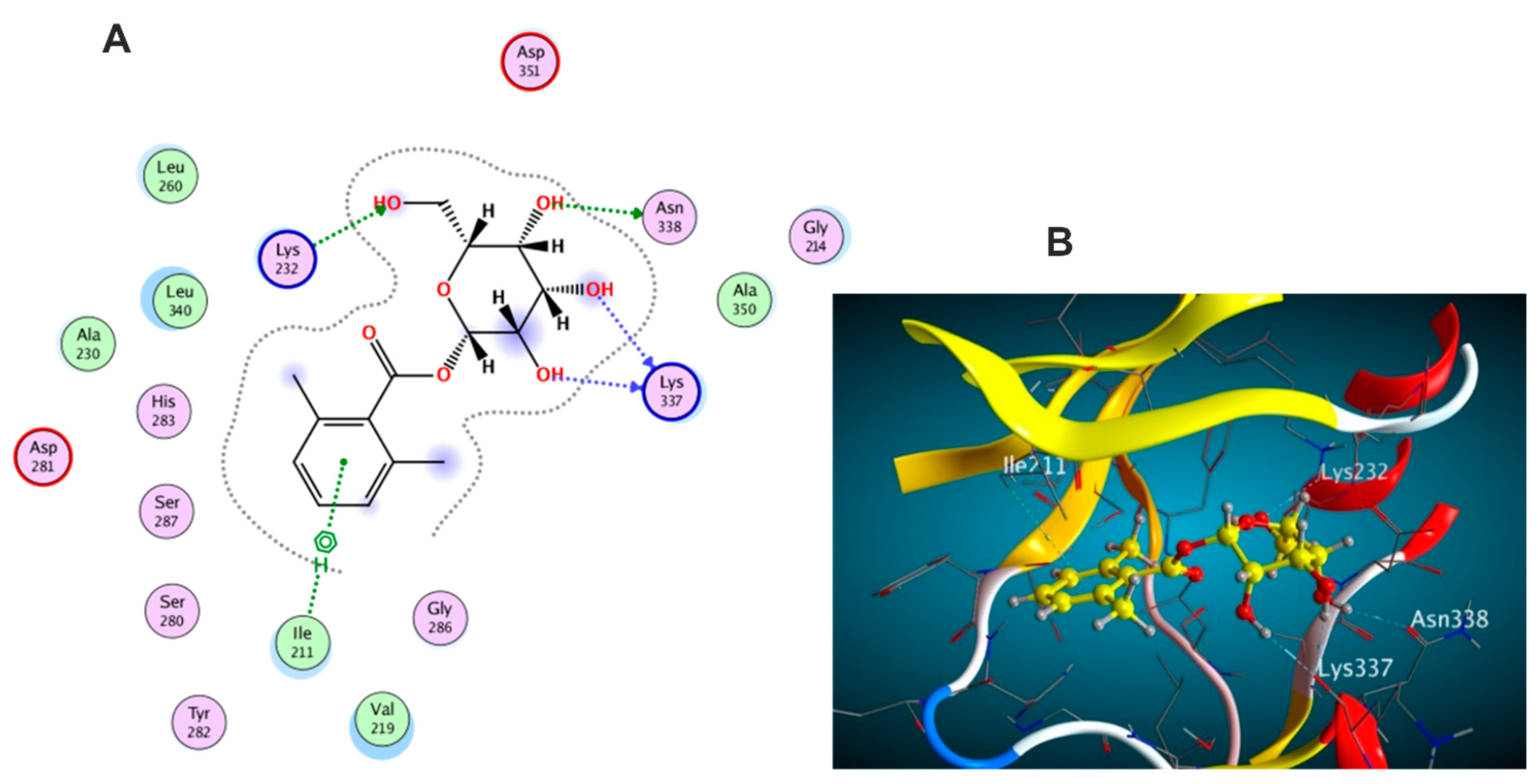 Antioxidants 11 01743 g010