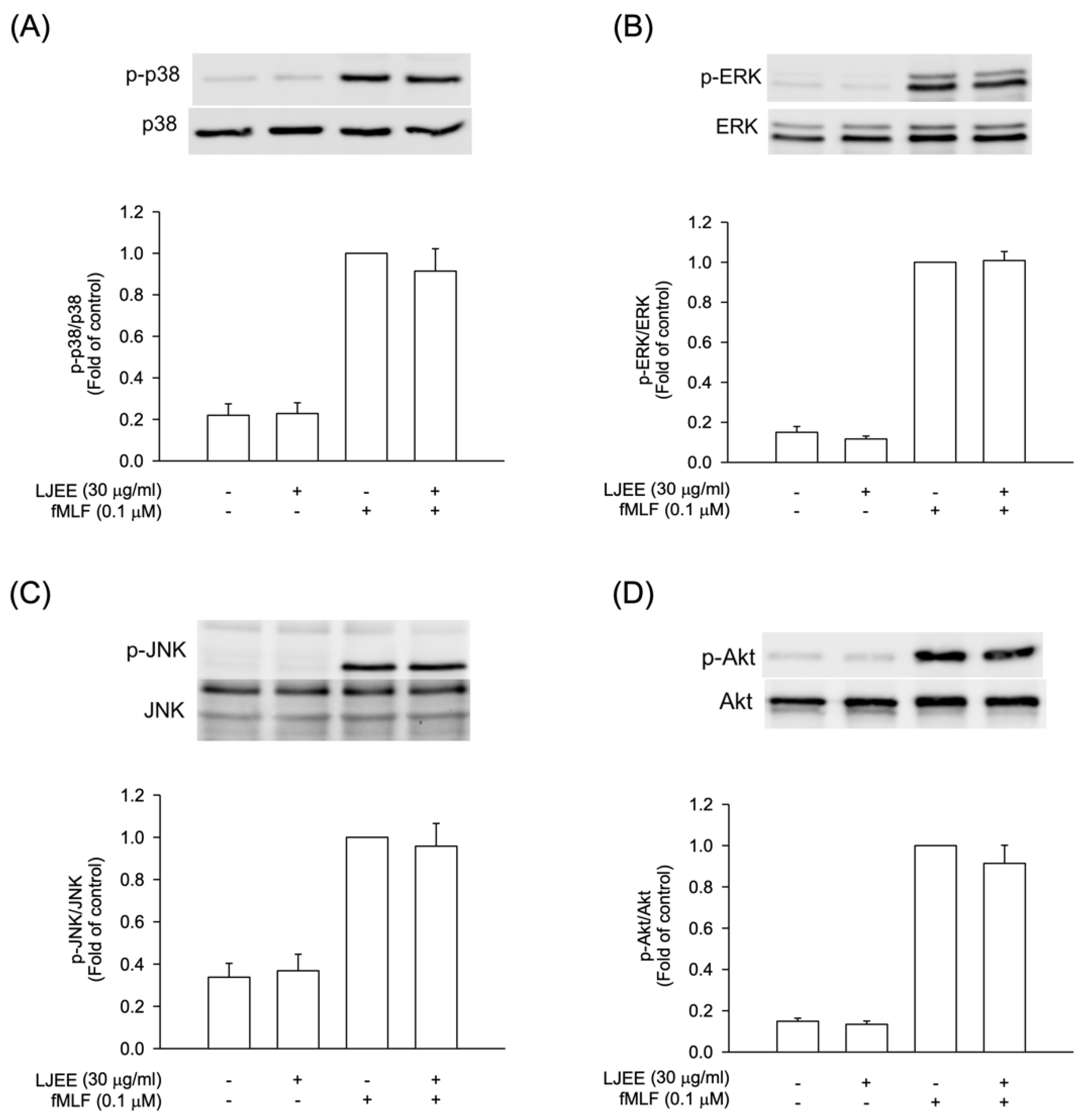 Antioxidants 11 01781 g004