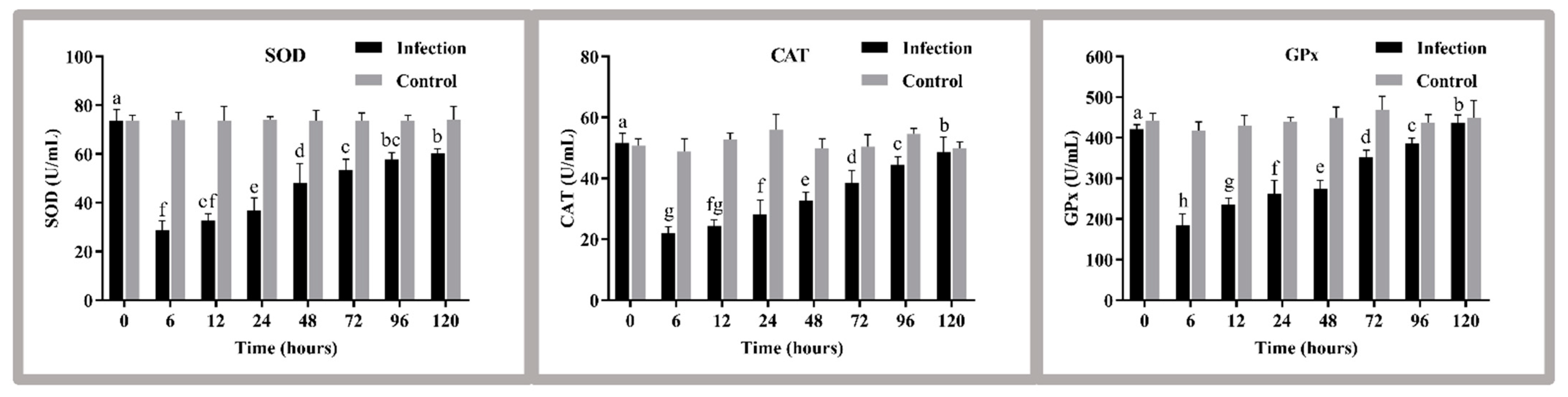 Antioxidants 11 01809 g003