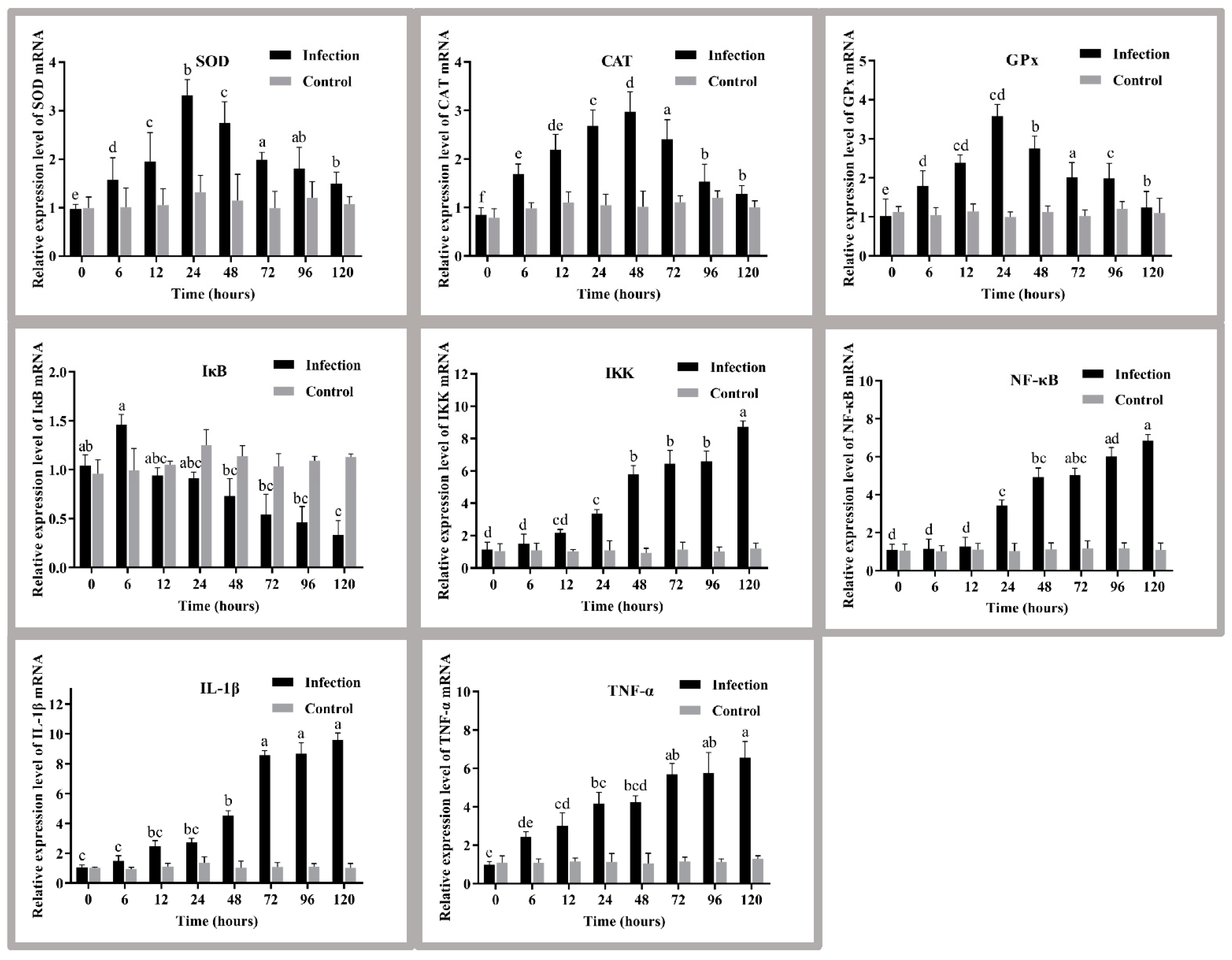 Antioxidants 11 01809 g004