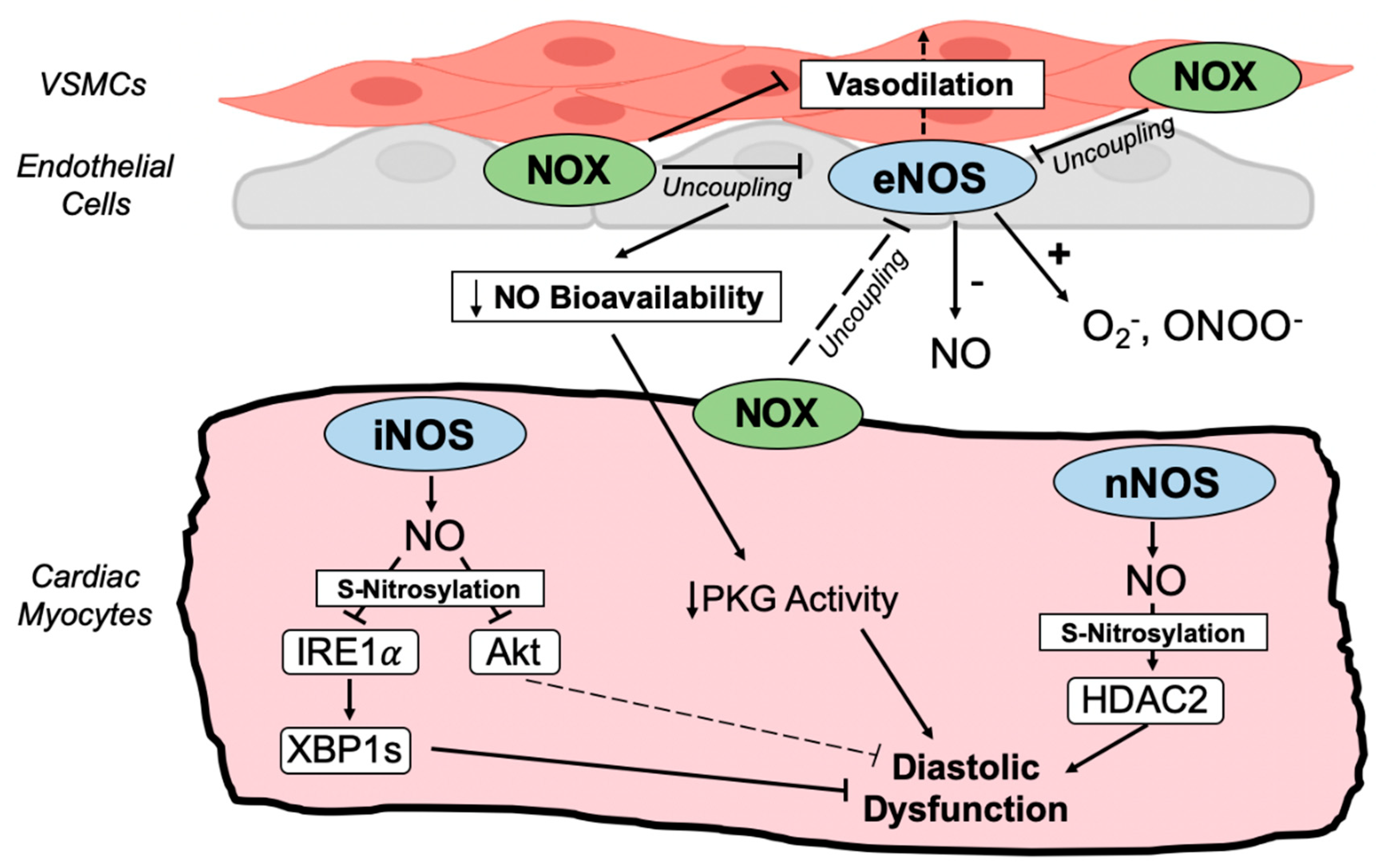 https://www.mdpi.com/antioxidants/antioxidants-11-01822/article_deploy/html/images/antioxidants-11-01822-g003.png