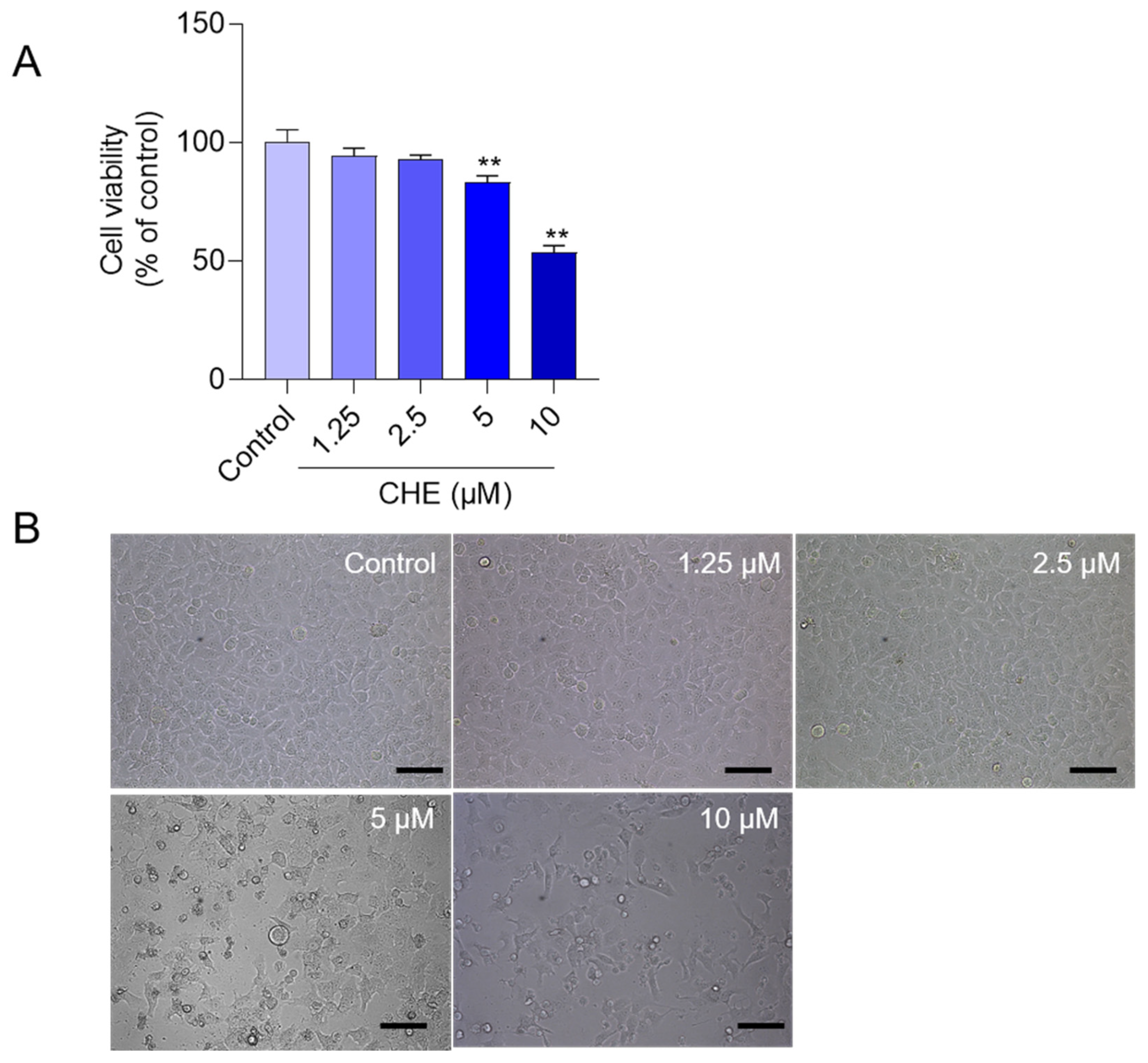Antioxidants 11 01837 g001