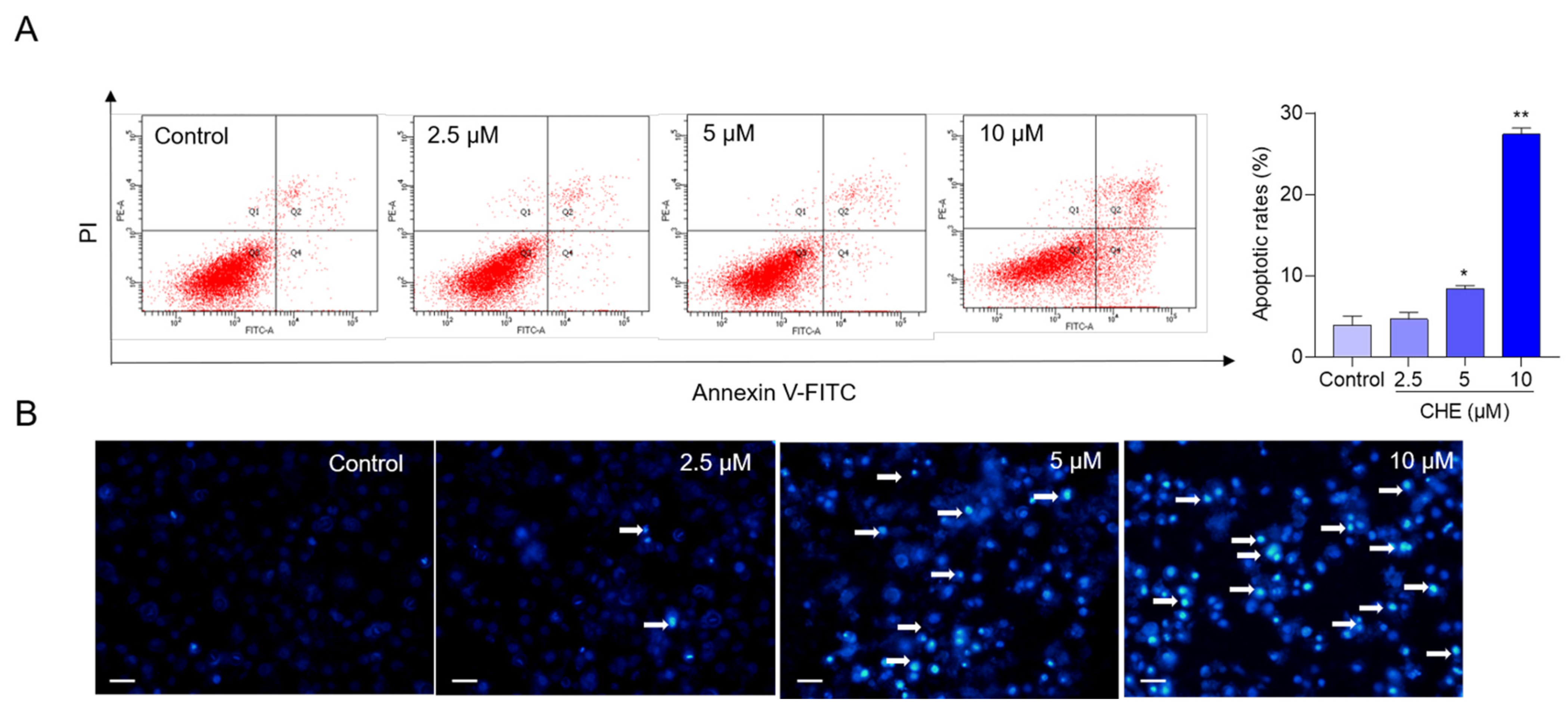 Antioxidants 11 01837 g002