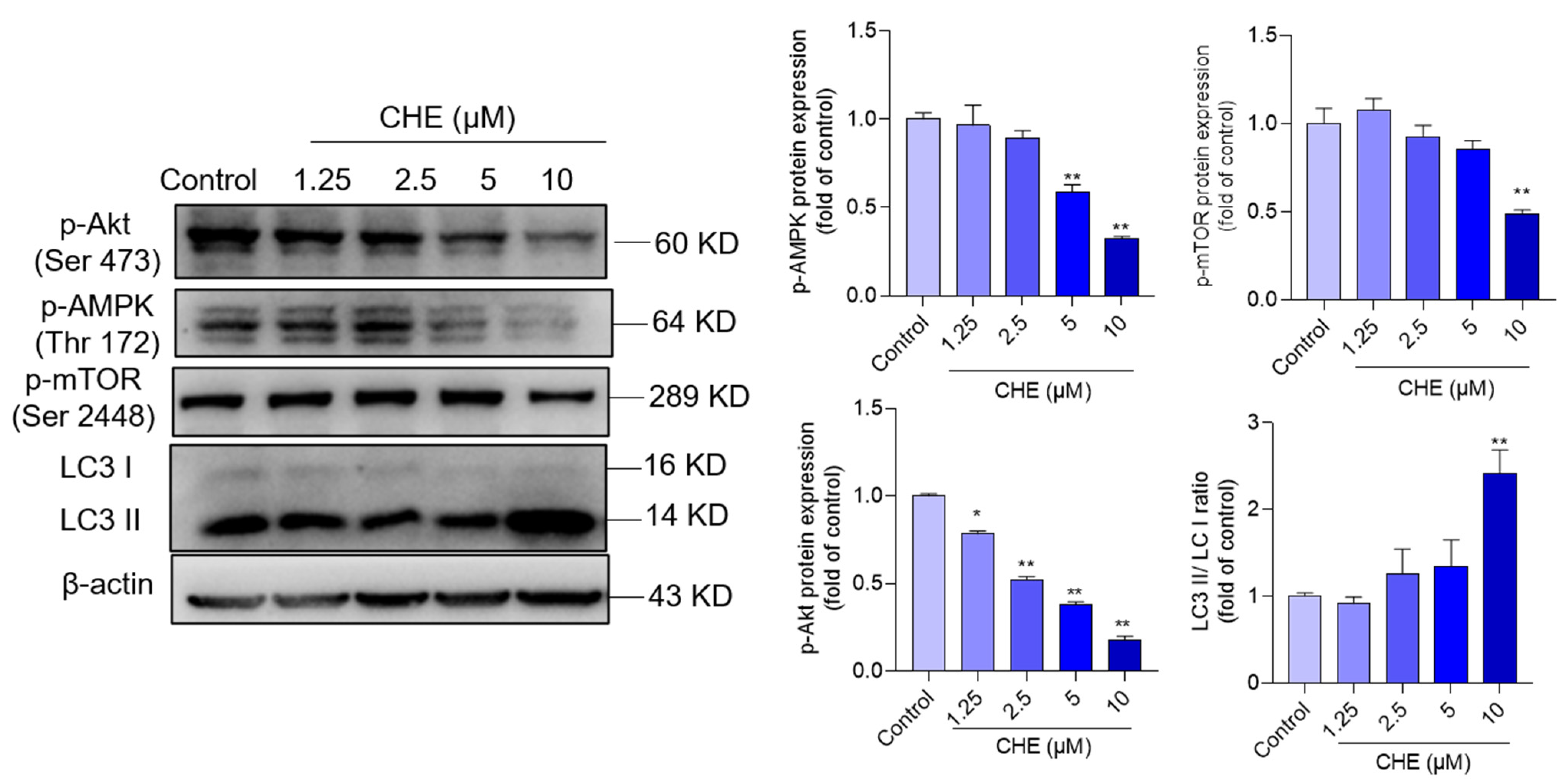 Antioxidants 11 01837 g006