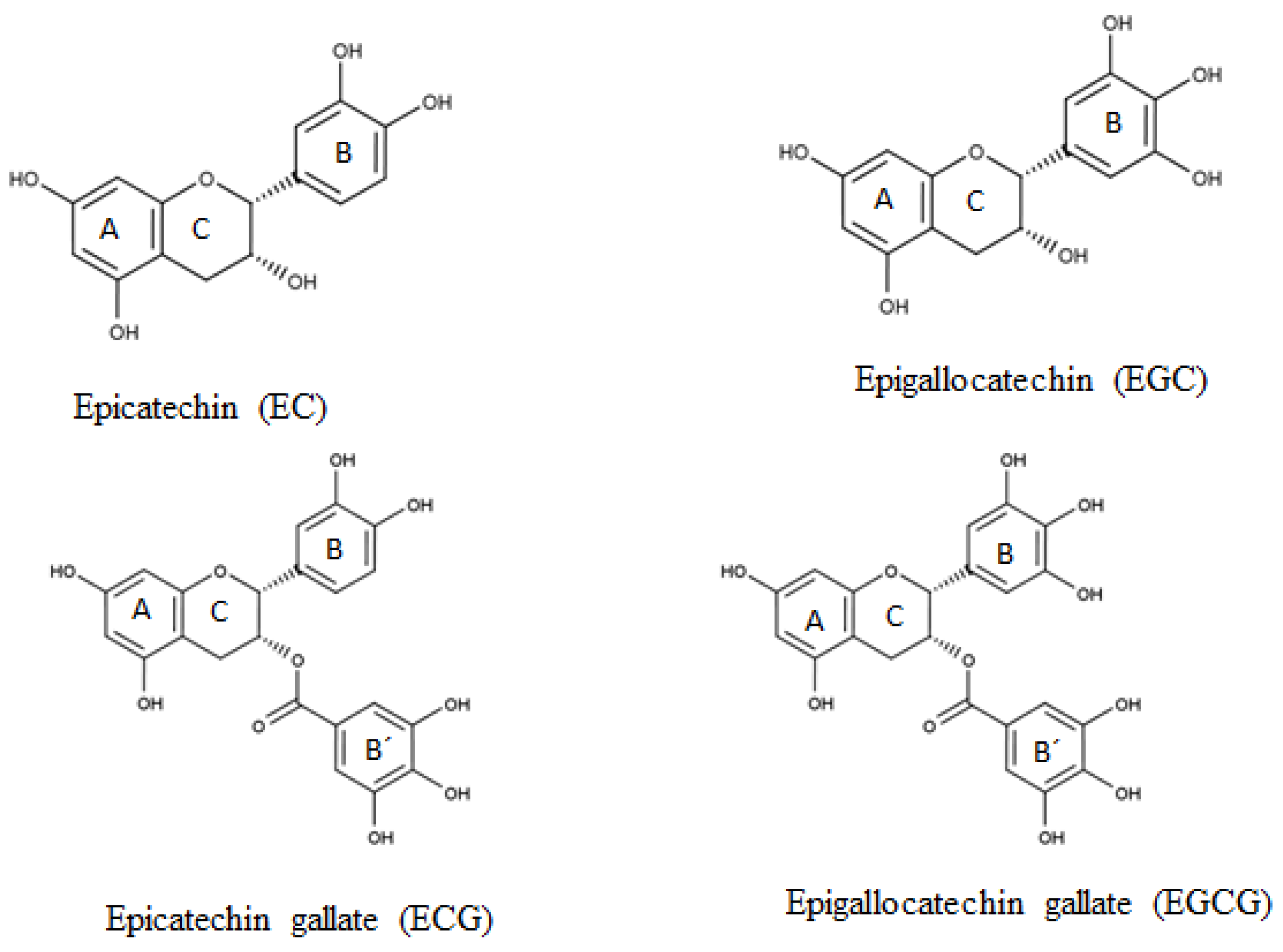 Thermo Scientific Chemicals (-)-Epigallocatechin, 95%, from green tea,  Quantity: 10 mg