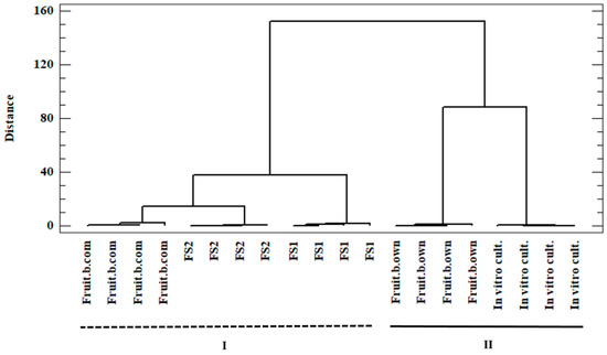 Antioxidants | Free Full-Text | Cordyceps militaris—Fruiting