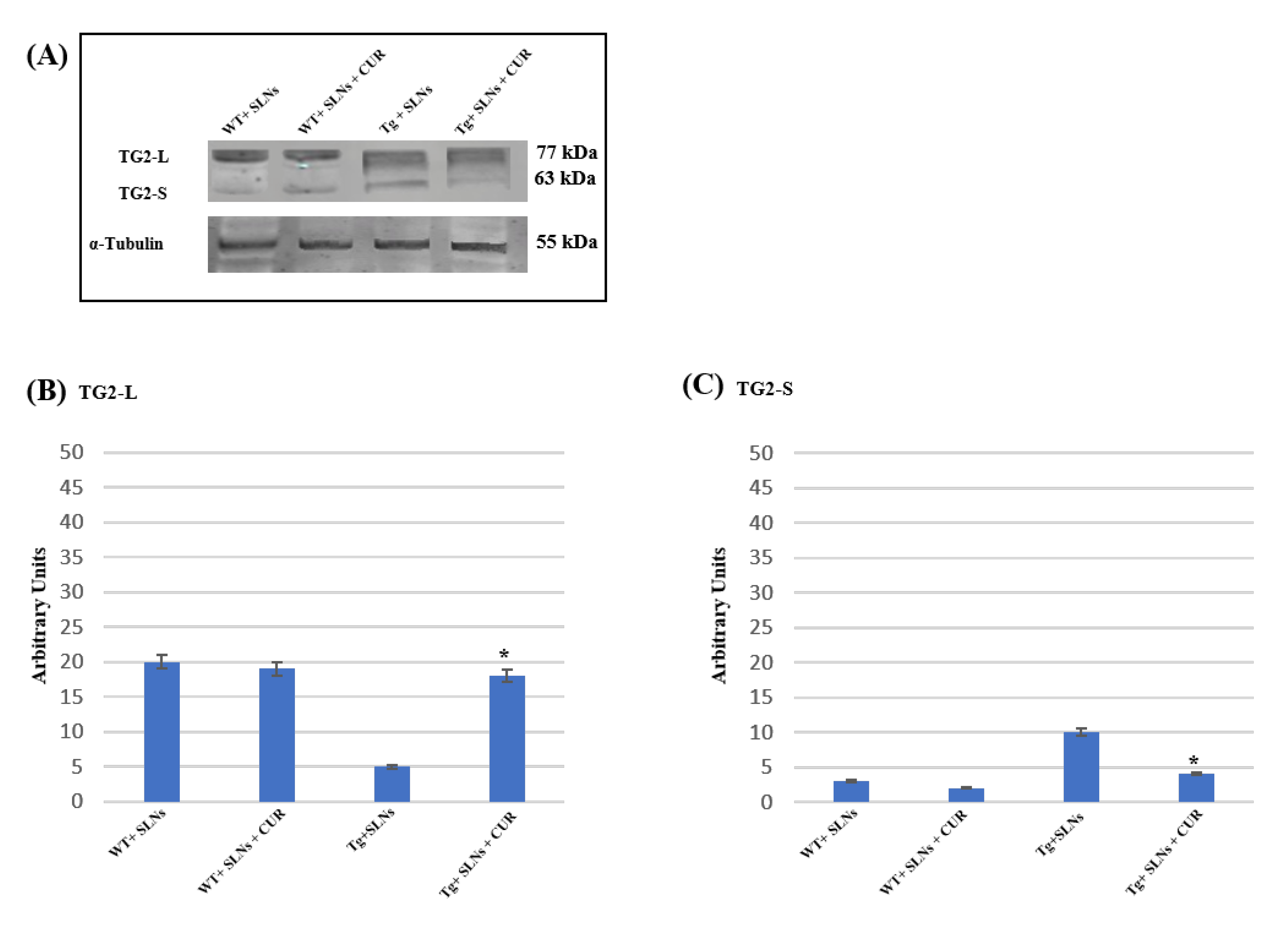 Antioxidants 11 01863 g002 Antioxidants 11 01863 g002