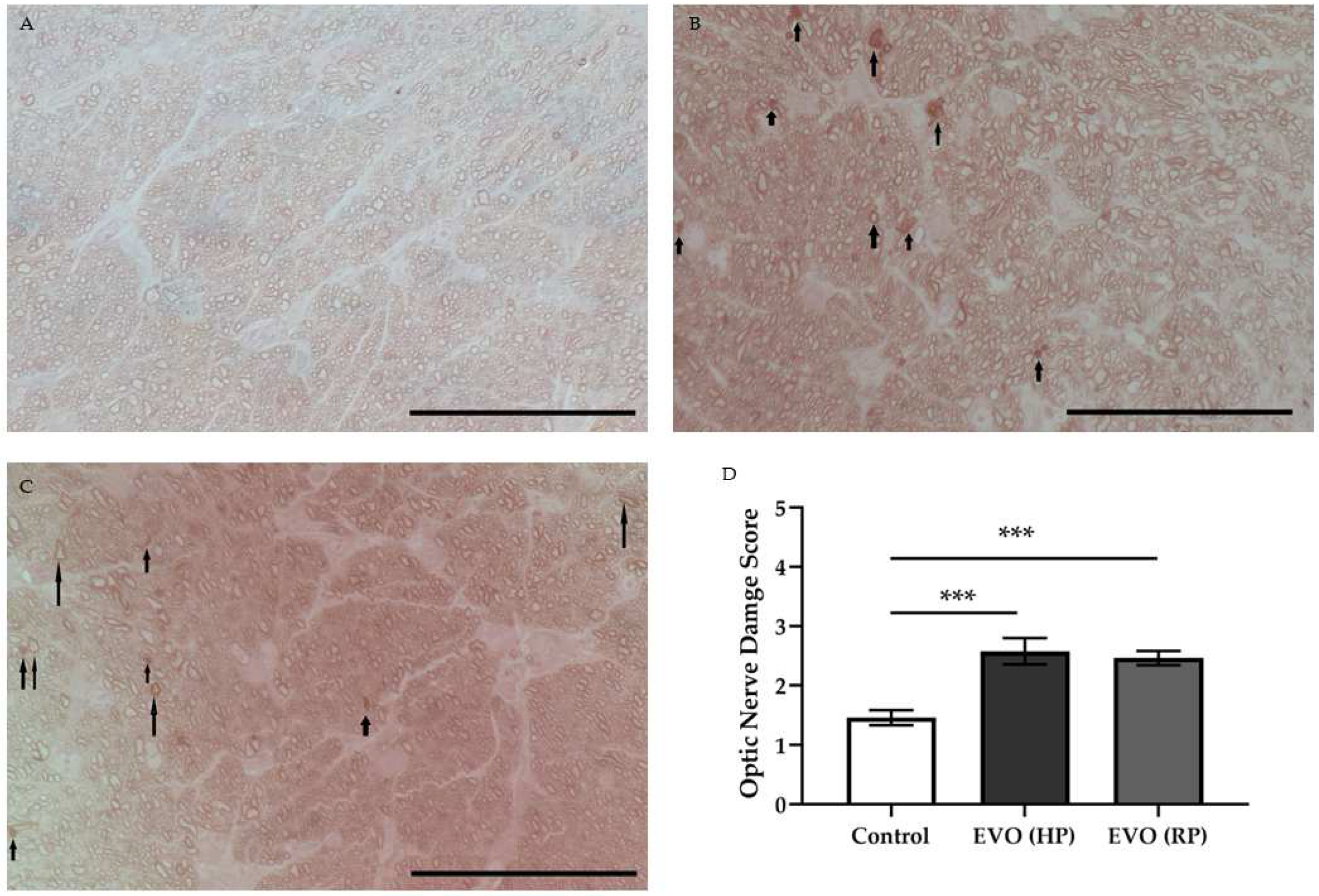 Antioxidants 11 01864 g008 Antioxidants 11 01864 g008