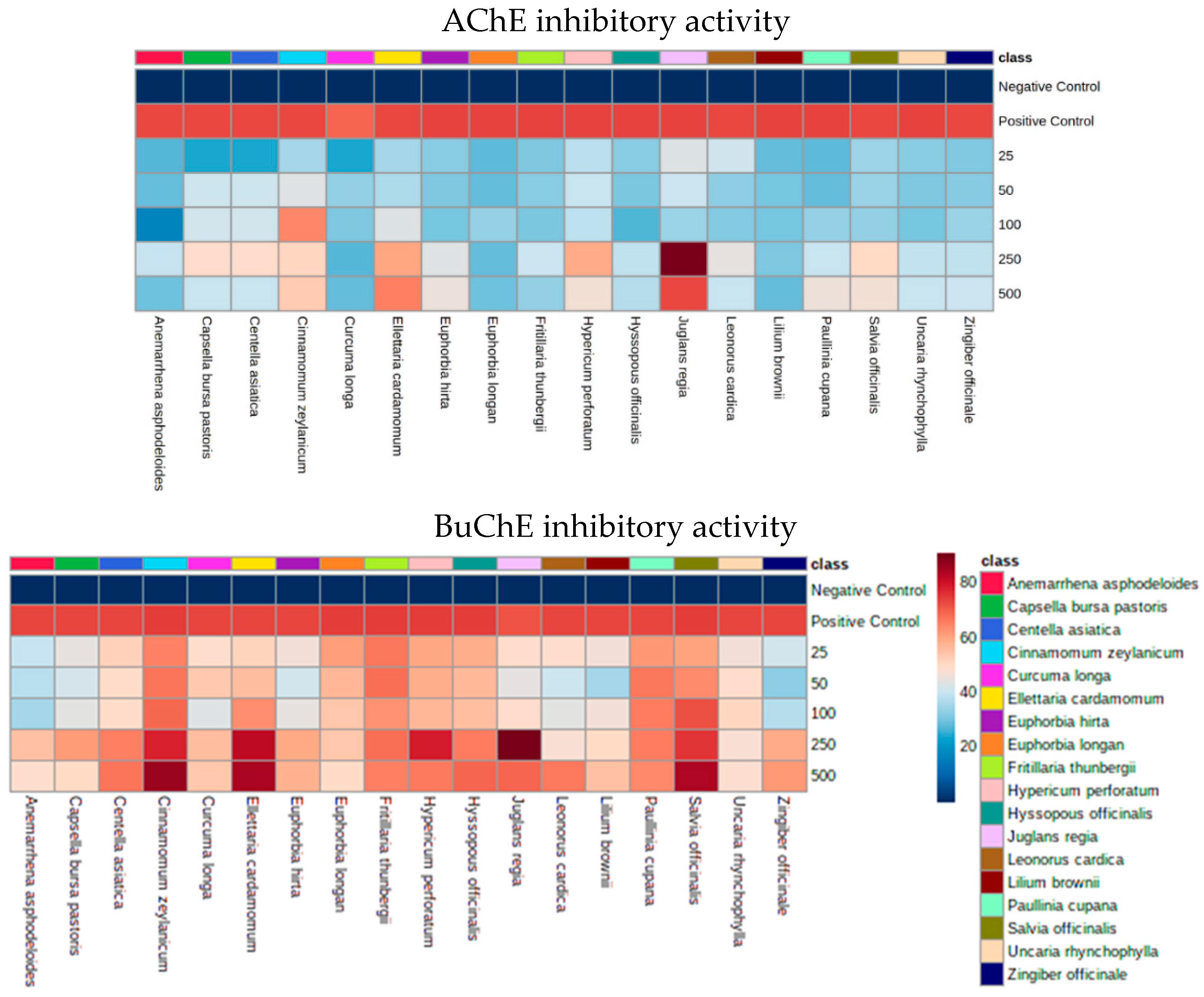 Antioxidants 11 01865 g001 Antioxidants 11 01865 g001